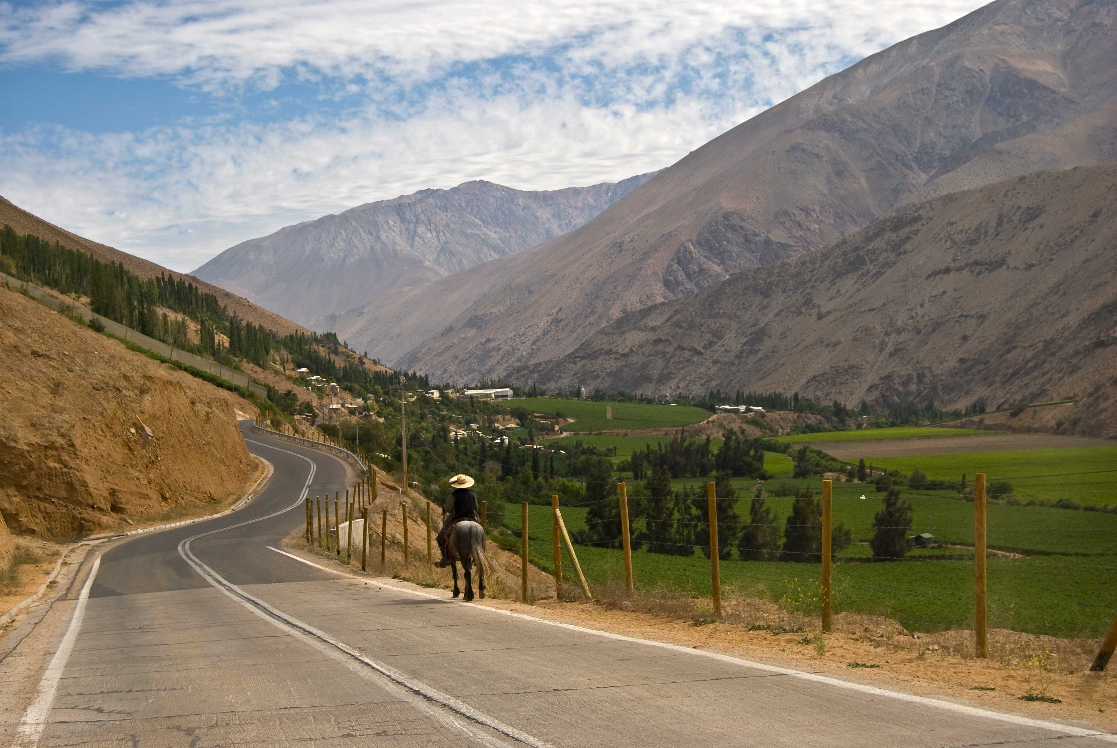 Valle del Elqui, por Ricardo Jara