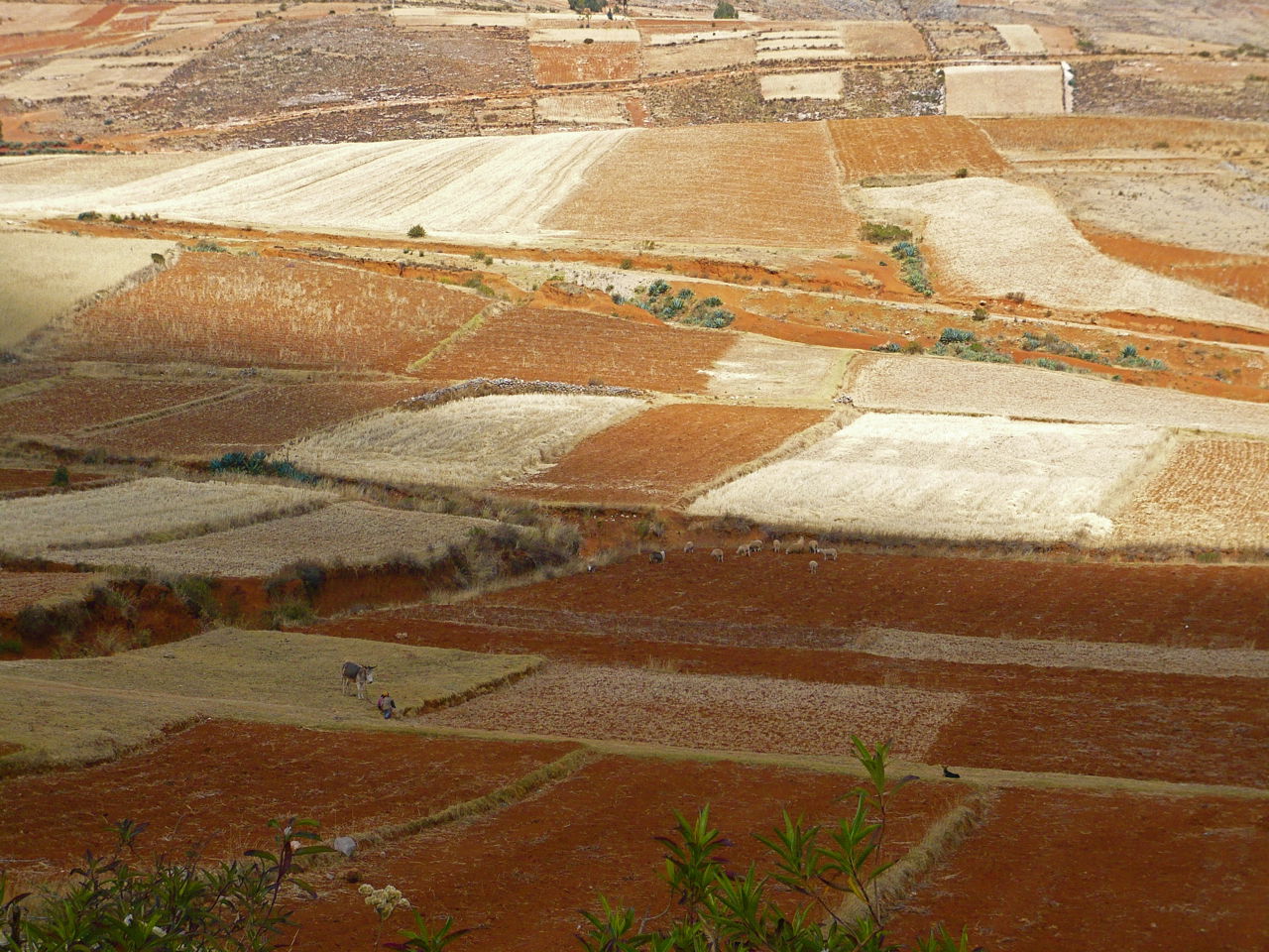 Andes de Huancayo, por Karelito