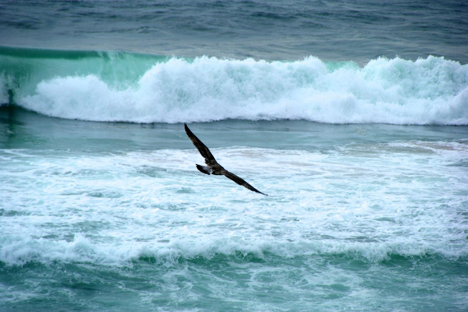 Playa do Guincho, por Raul Gonzalez-Corroto Perez