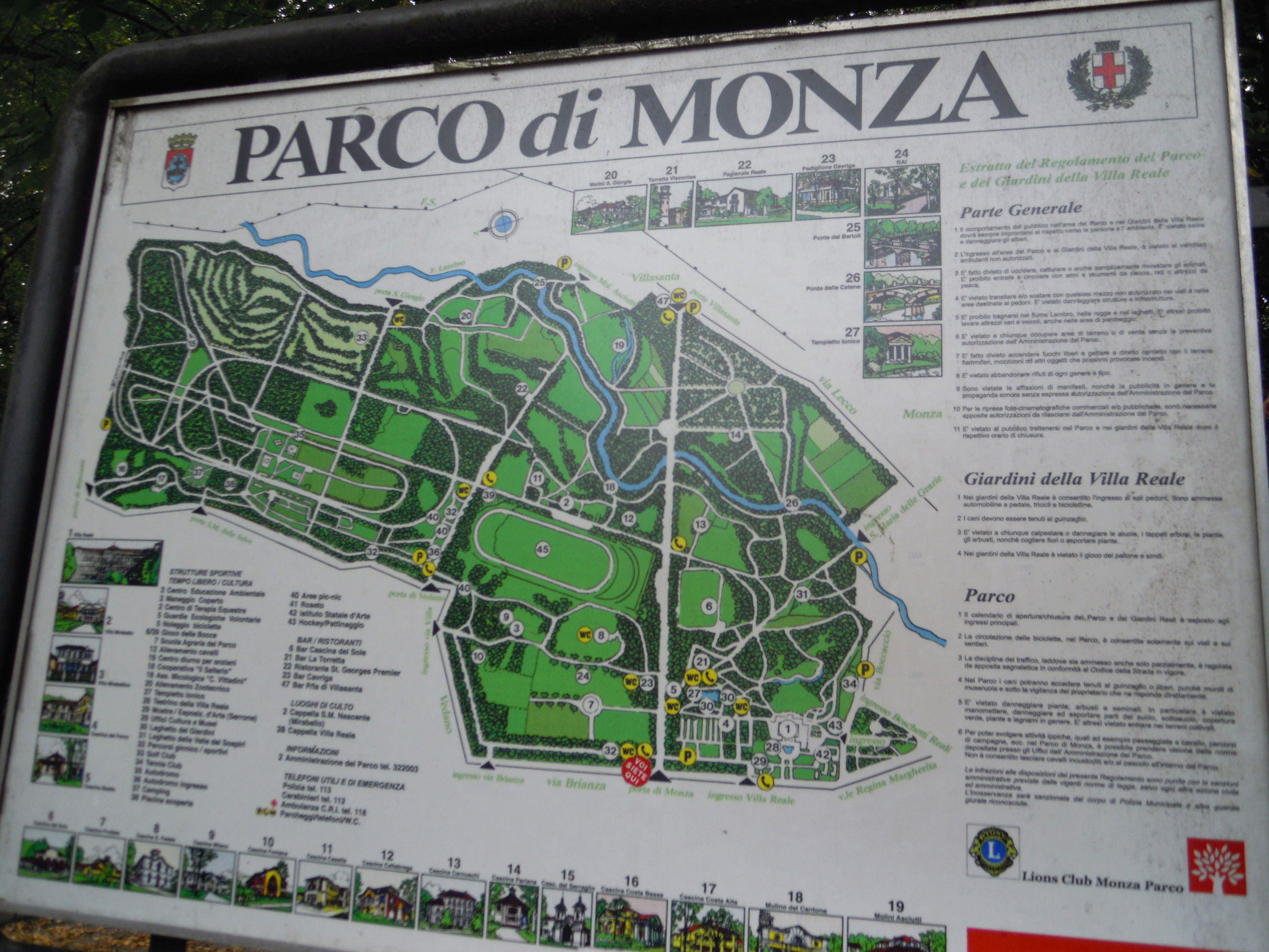 Parco de Monza, por lucia 