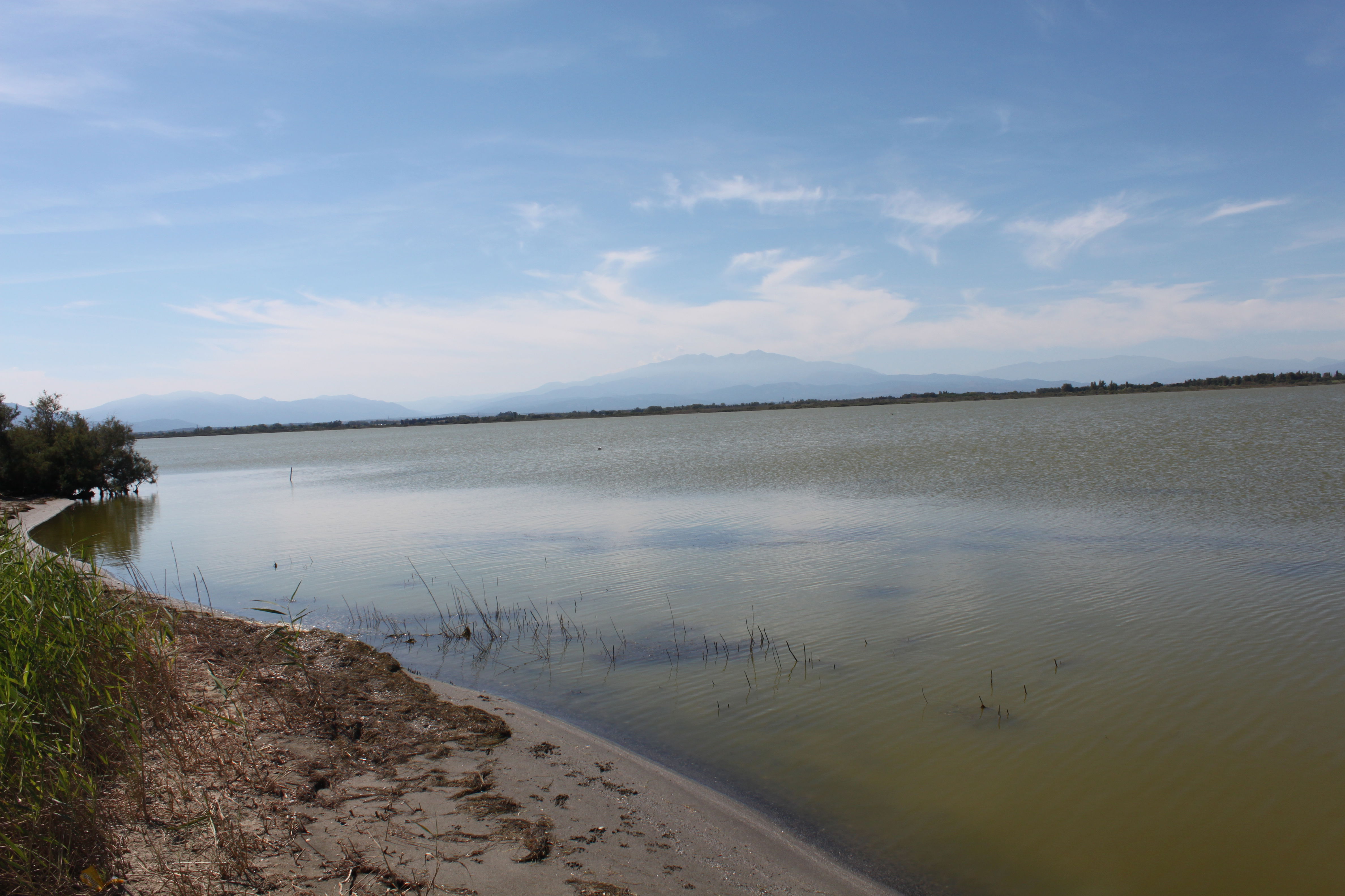 Estanque de Canet Saint-Nazaire, por Morgane F.