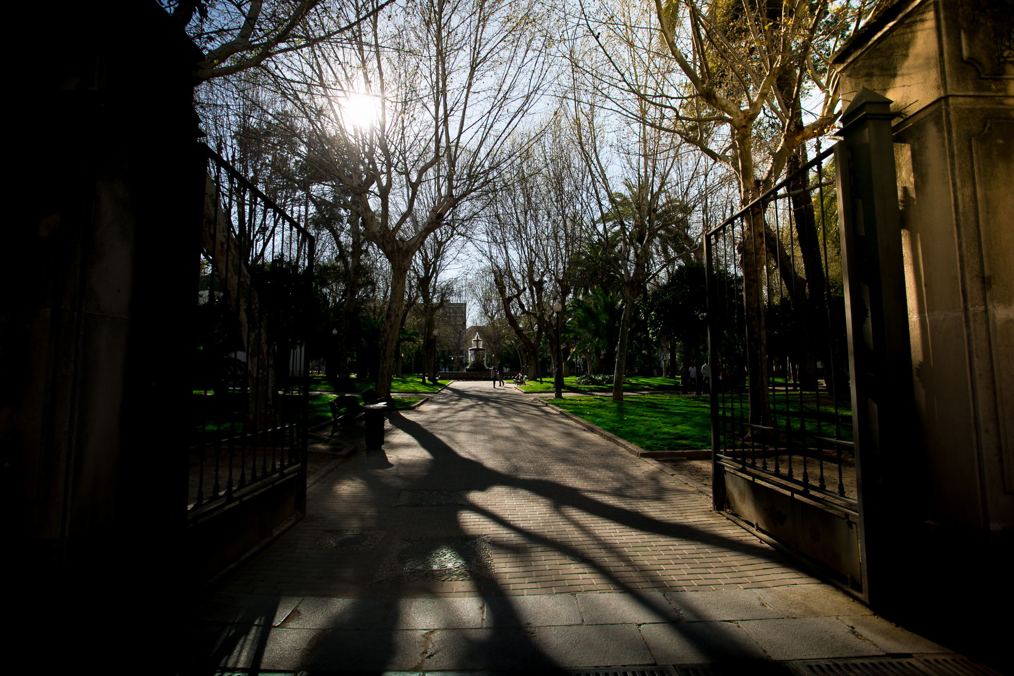 Jardines de Colón, por David Mugad
