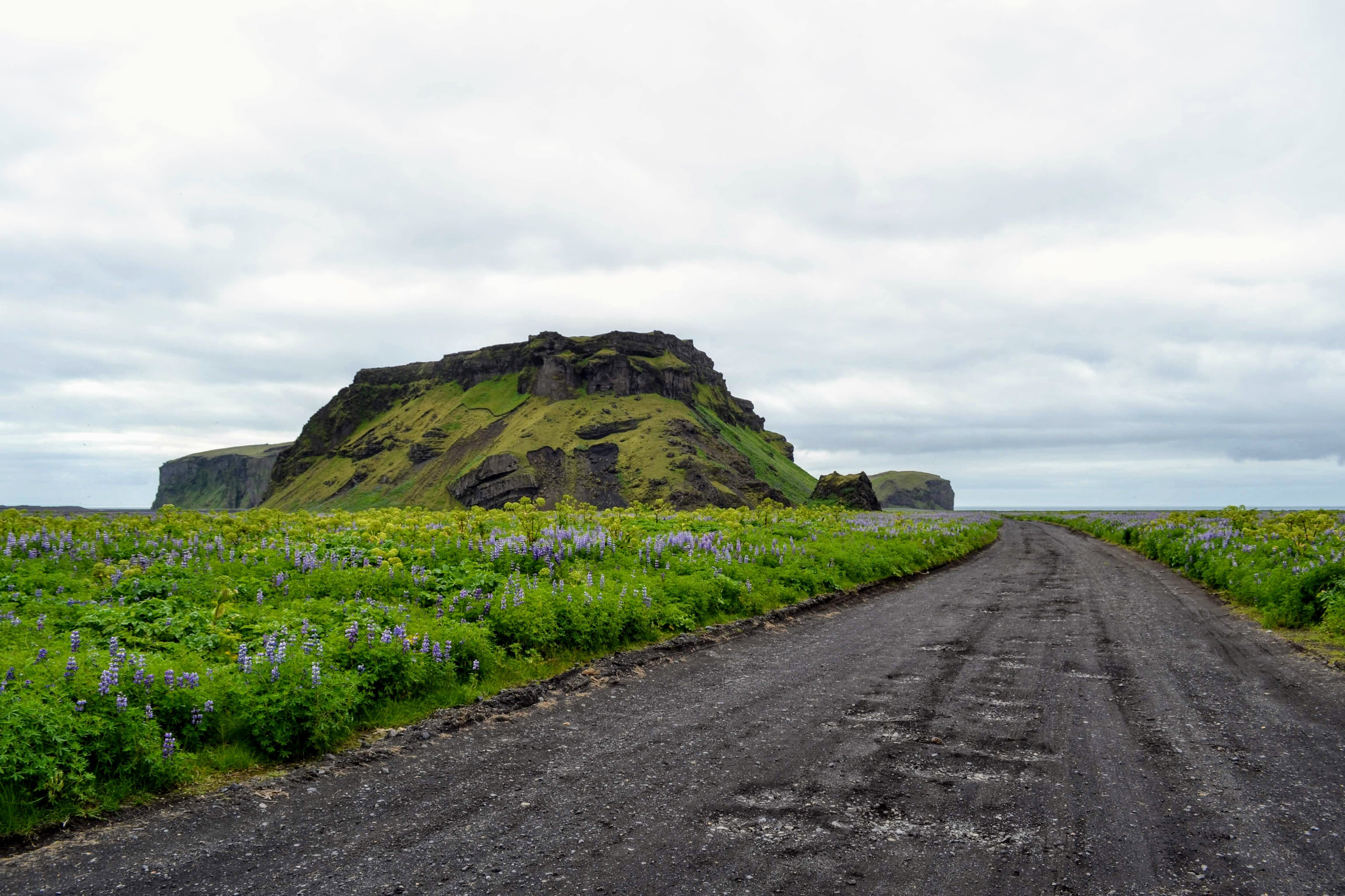 Acantilados en Islandia: maravillas naturales que deslumbran al viajero