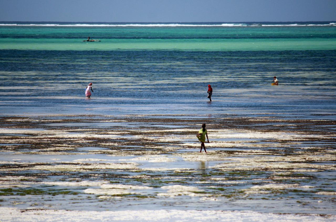 Paje Beach, por Pachy Lorenzo