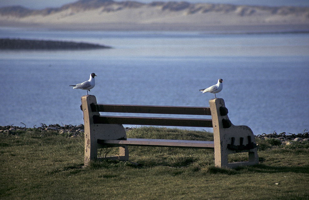 Lindisfarne o la "Isla Santa" (Holy Island), por eXplorador Escocés