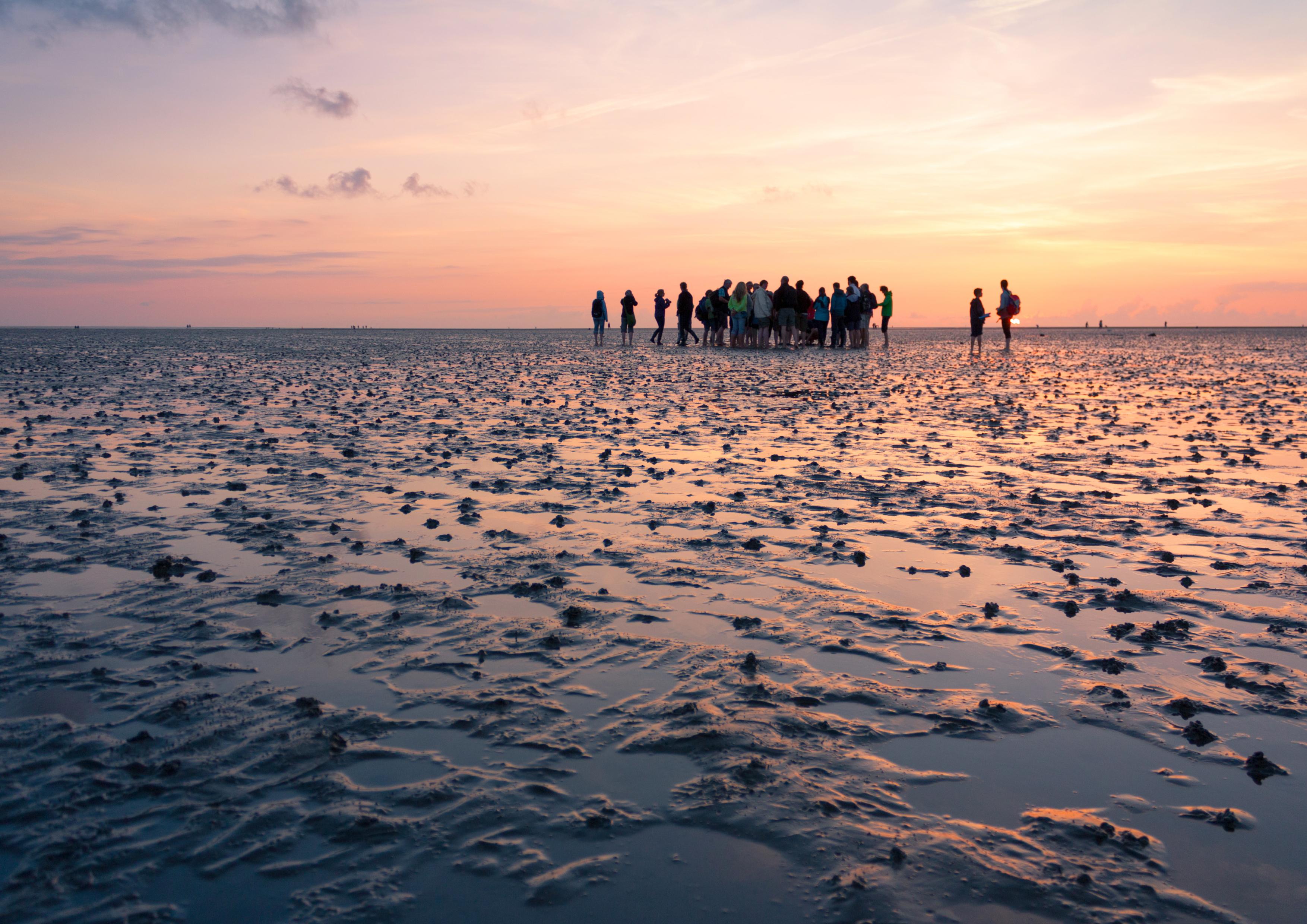 Parque Nacional del Mar de Frisia, por Frank Bausback