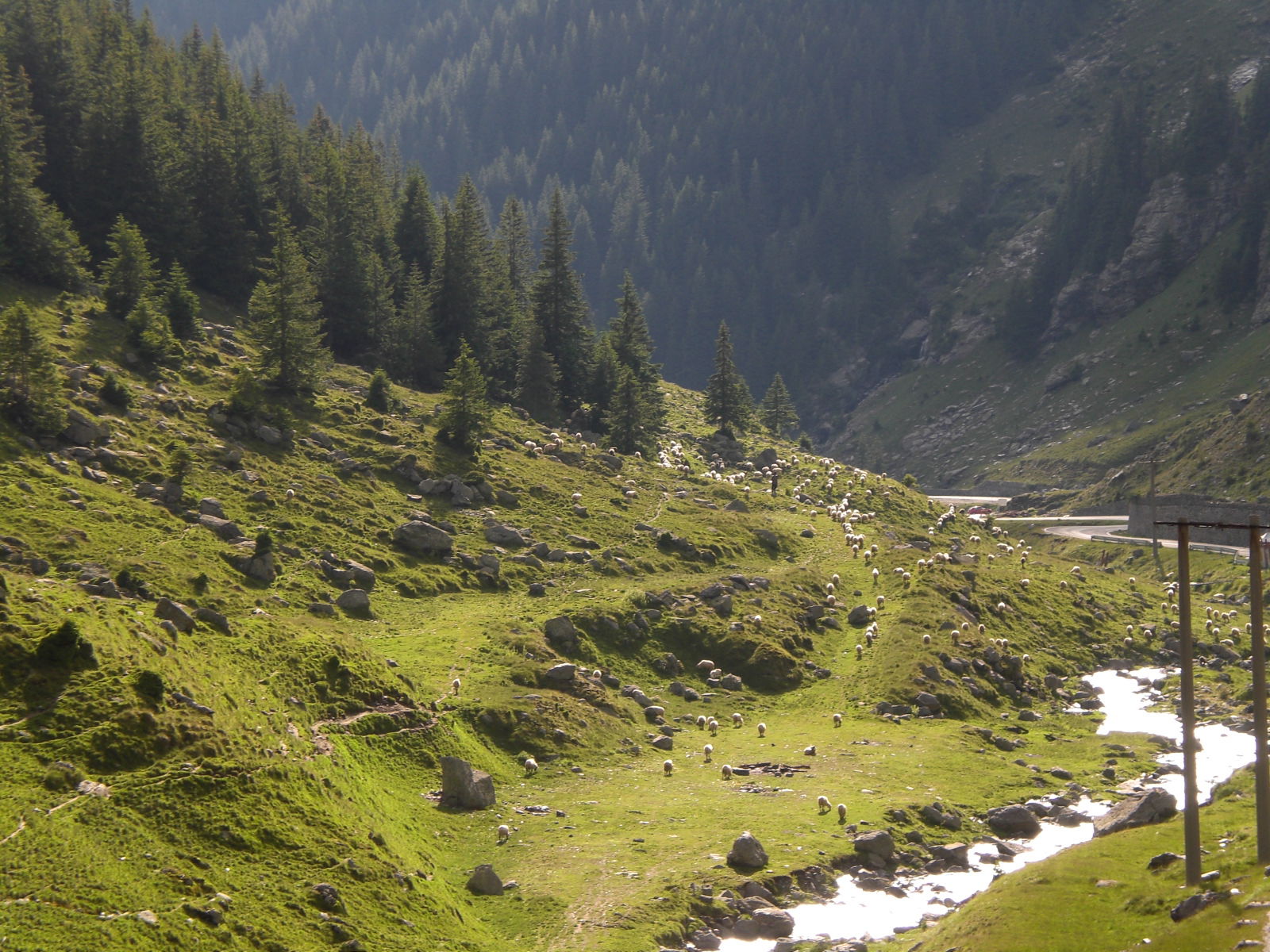 Carretera Transfagarasan, por guanche