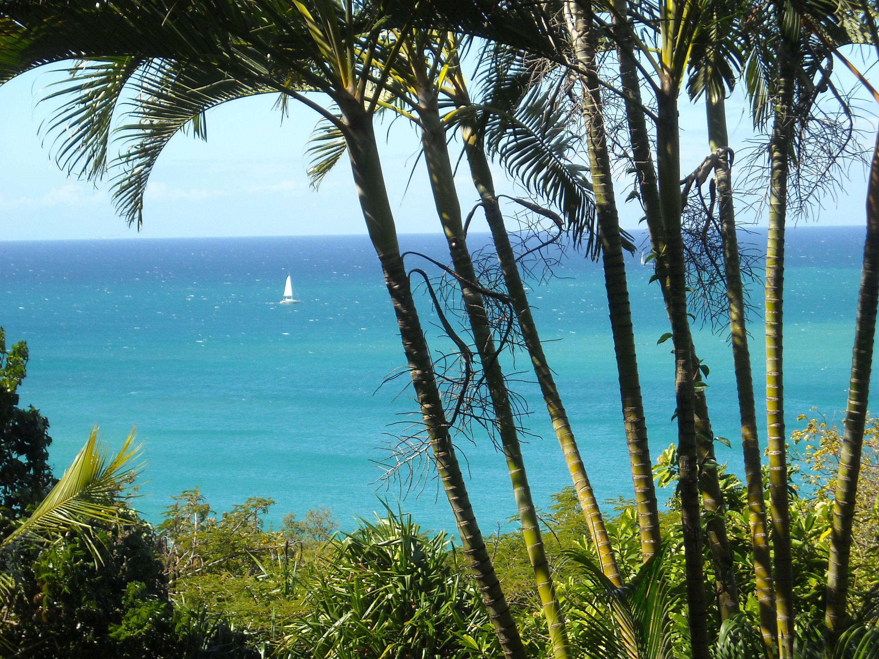 Playa de la Perle, por Manon.Lafitte