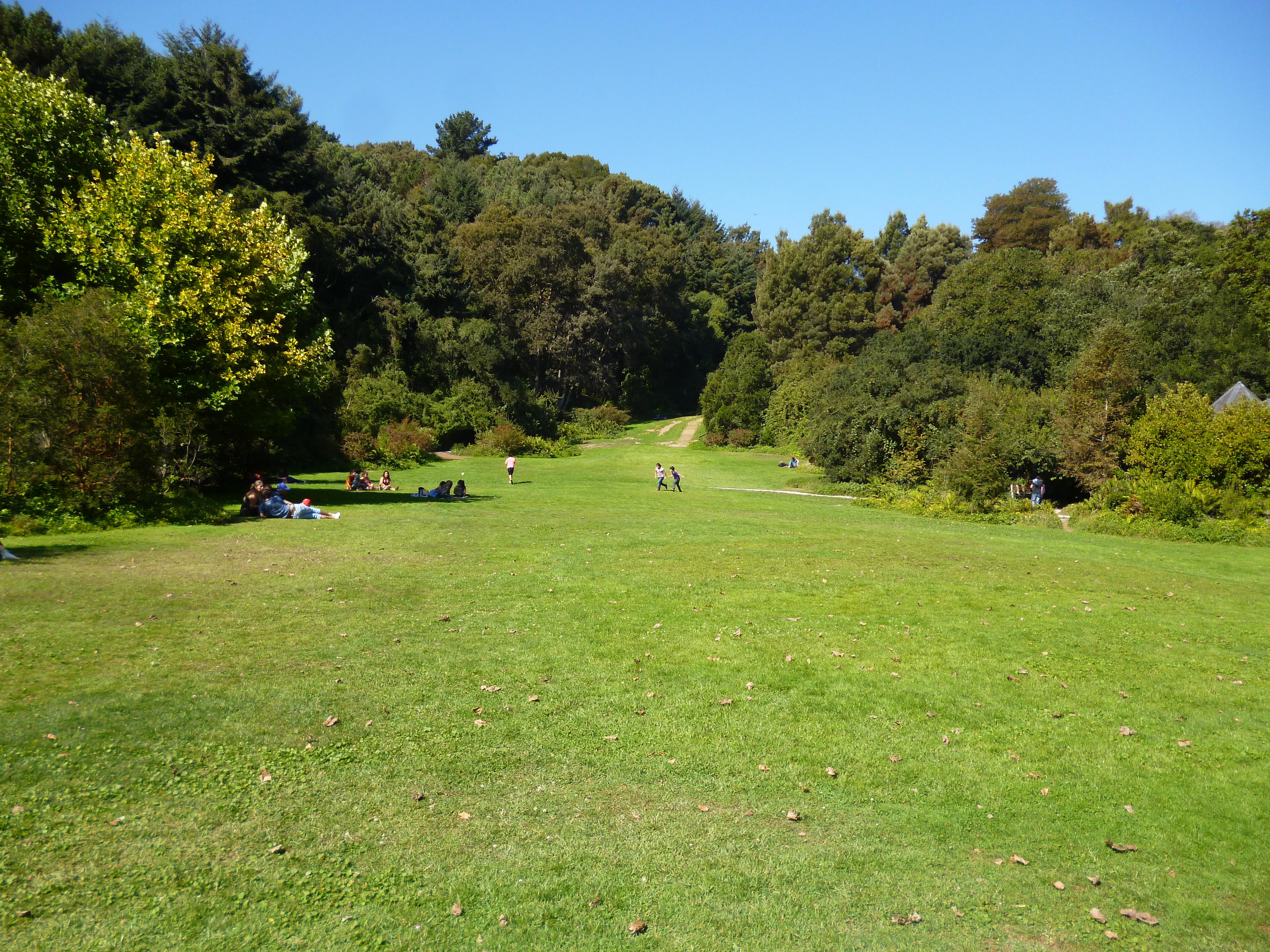 Parque Jorge Alessandri, por Daniela Quiroz