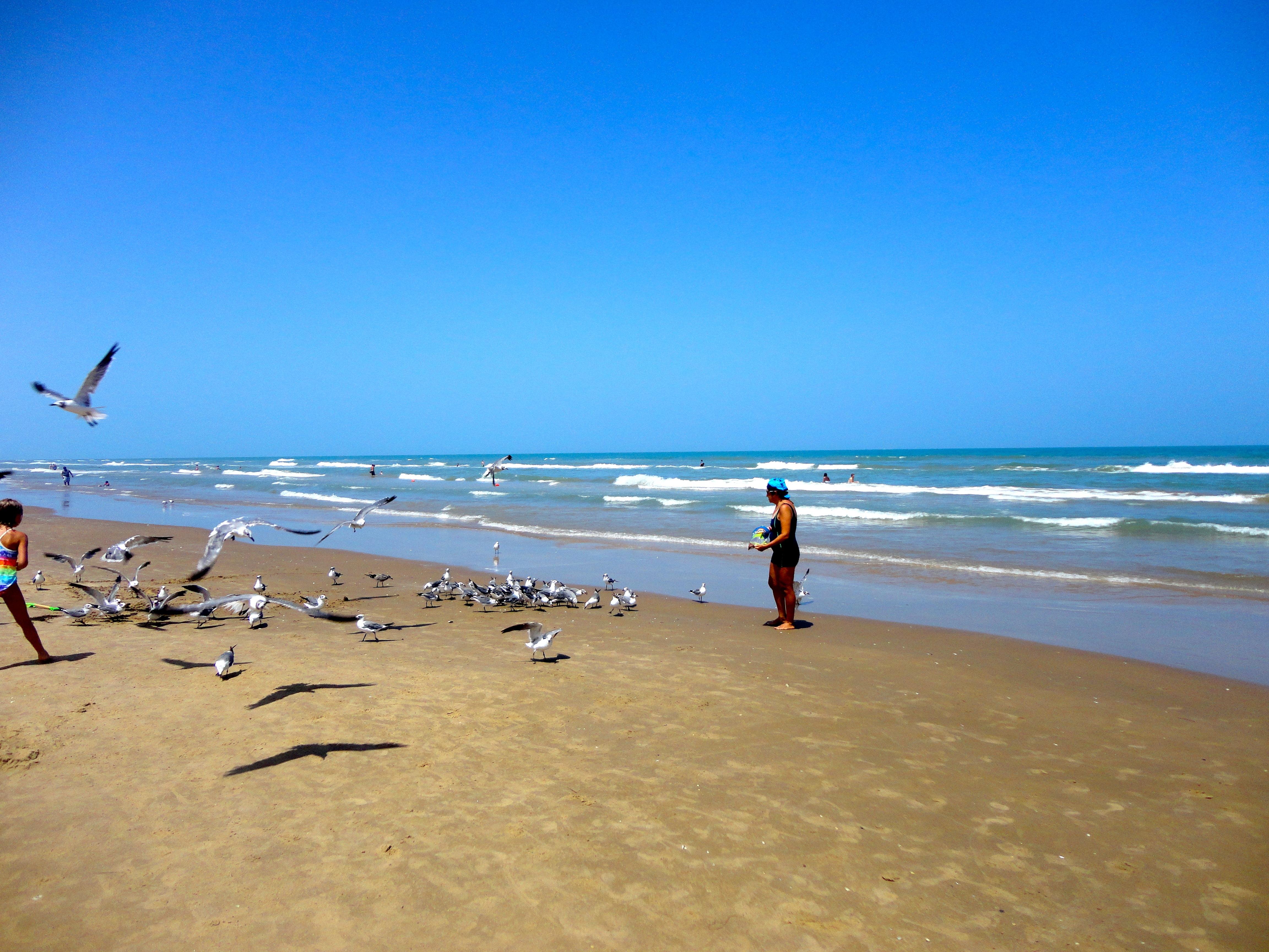 South Padre Island in South Padre Island: 3 reviews and 13 photos
