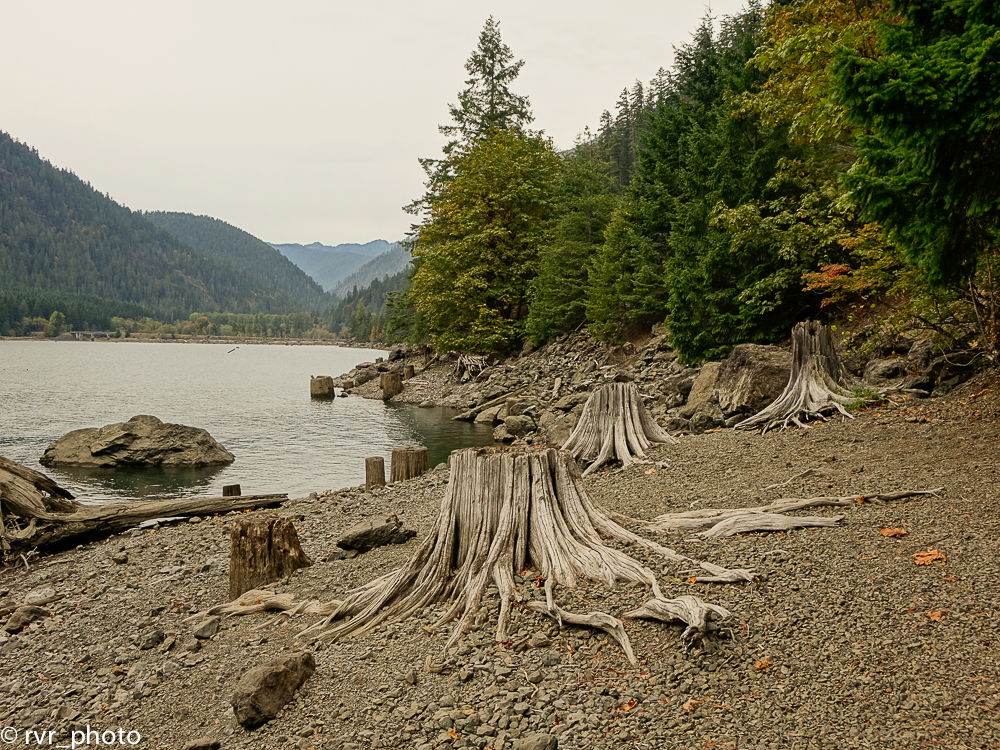 Parque nacional de Olympic, por Rafael Vilches