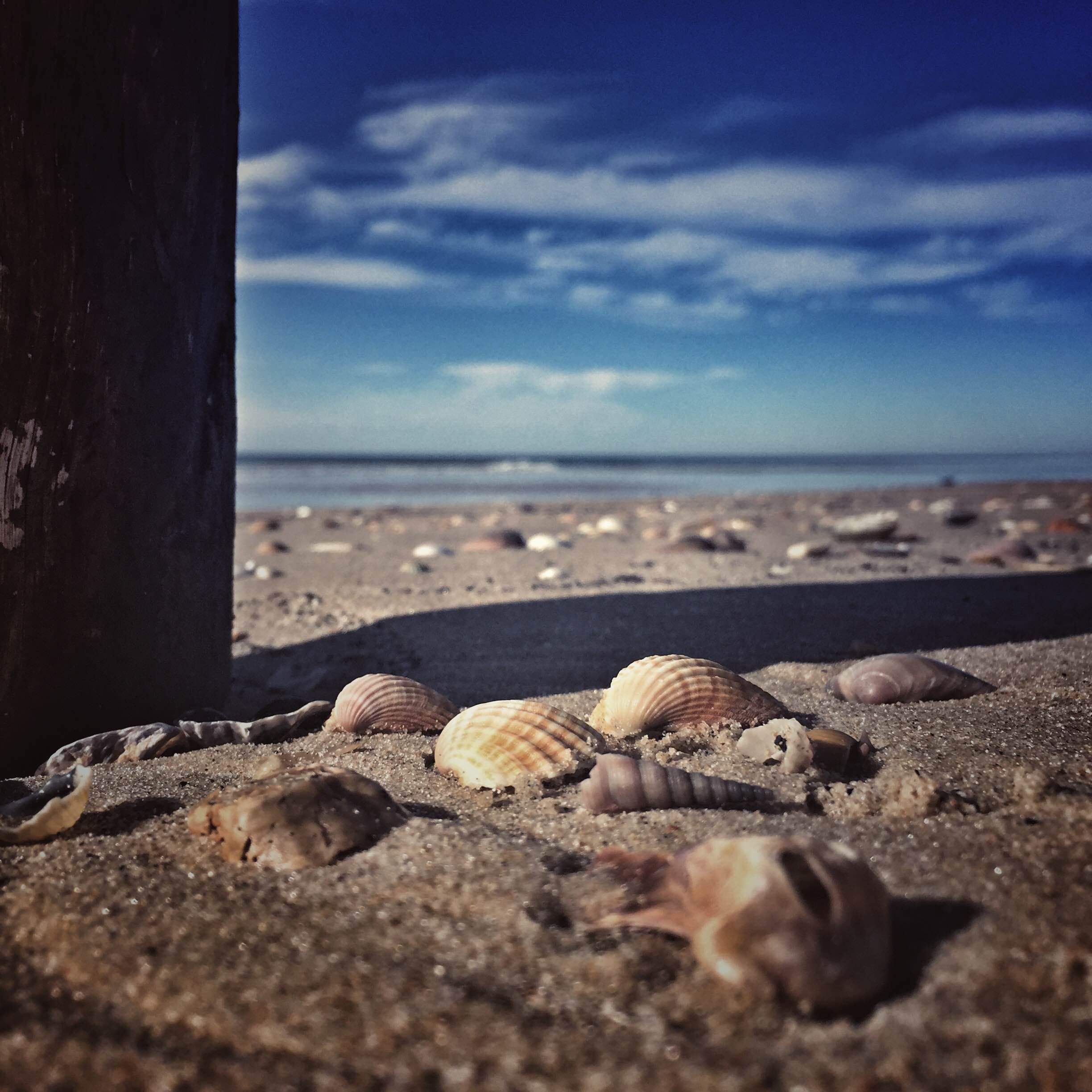 Playa de Matalascañas, por JoseyAna Garcia Casta