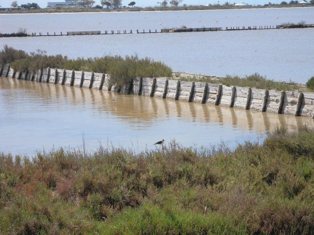 Molentargius - Saline Natural Park, por Stefania Contini