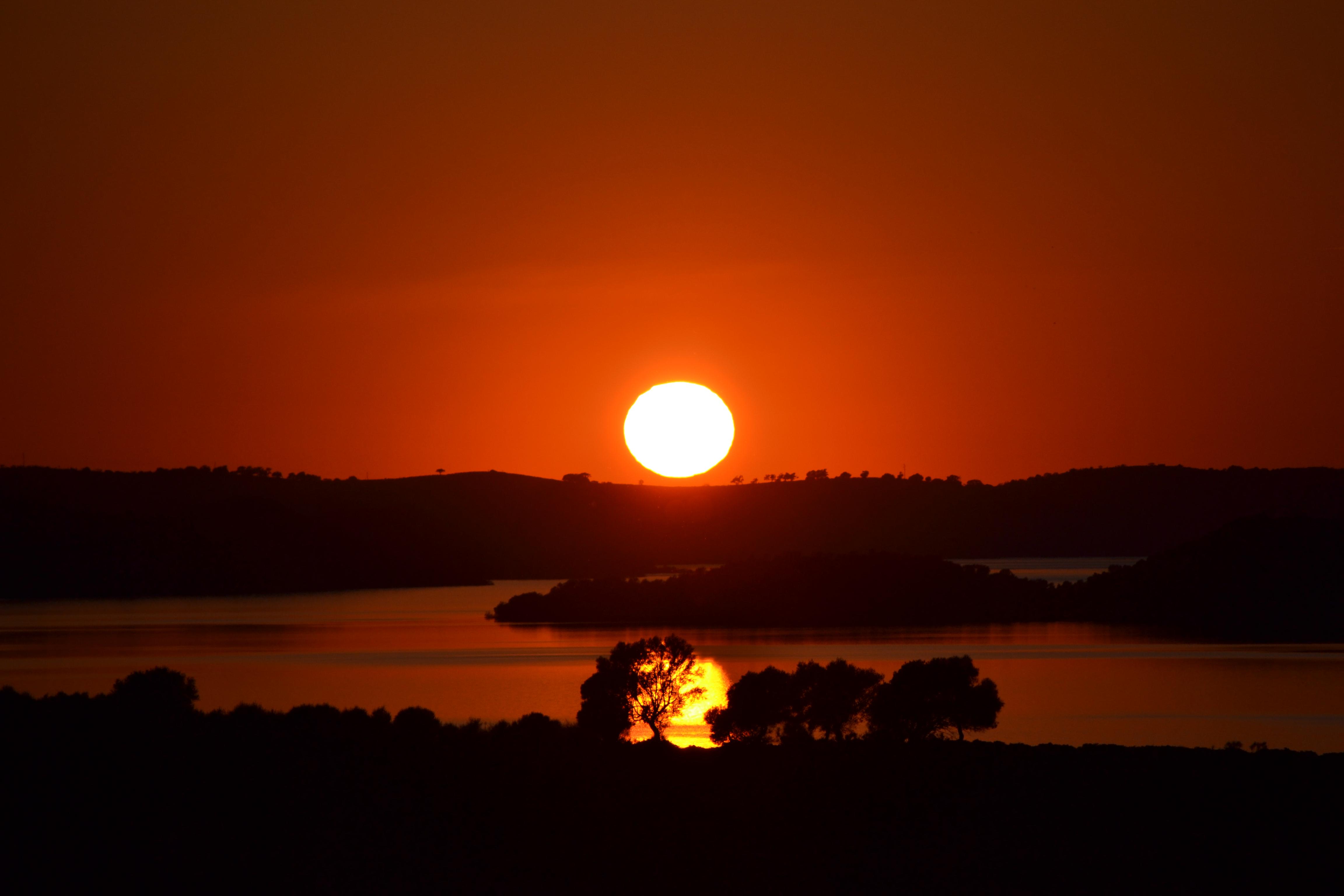 Pantanos de Cádiz, refugios de naturaleza y biodiversidad en la provincia