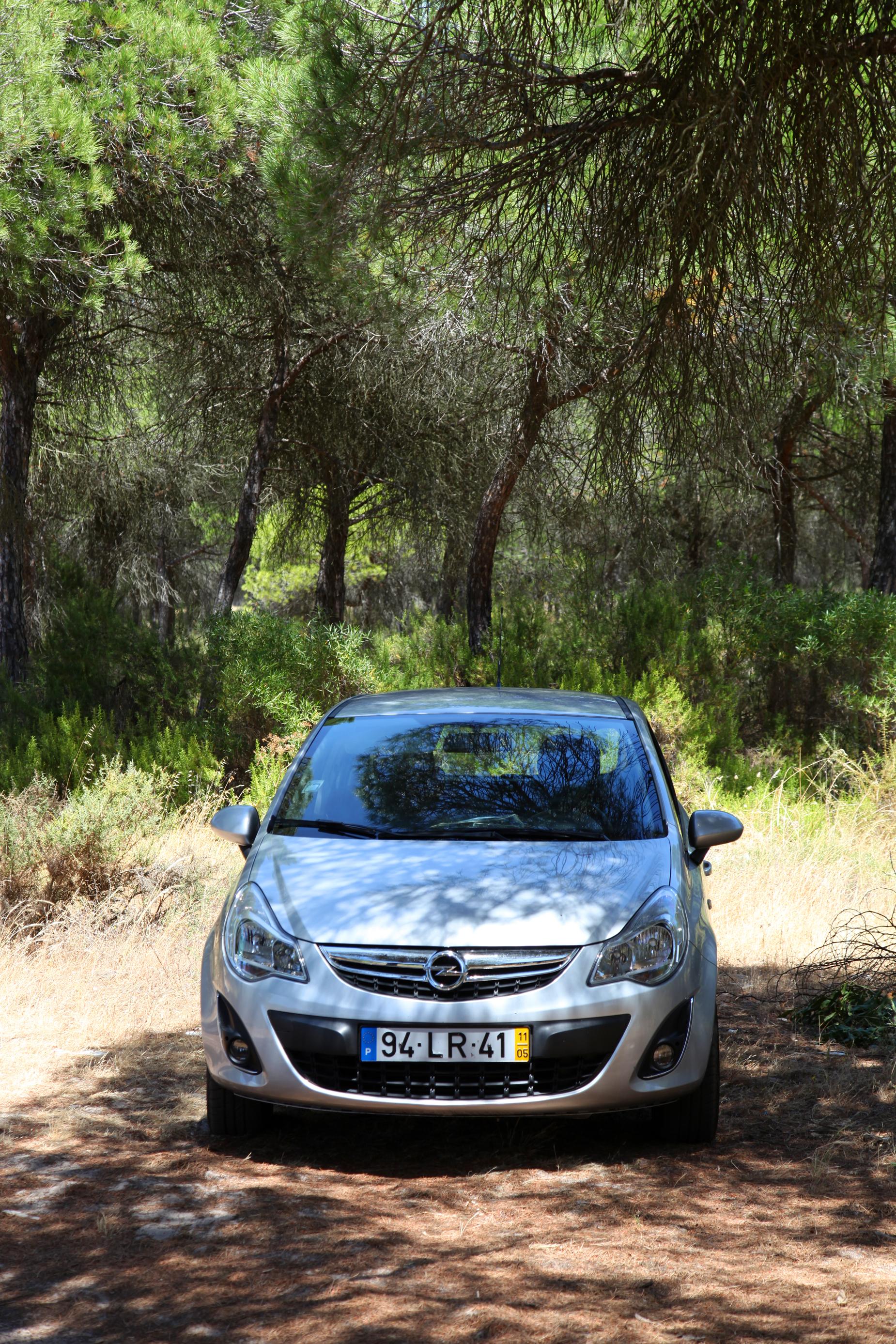 Estaciones de autobús en Portugal: descubre conexiones y rutas esenciales