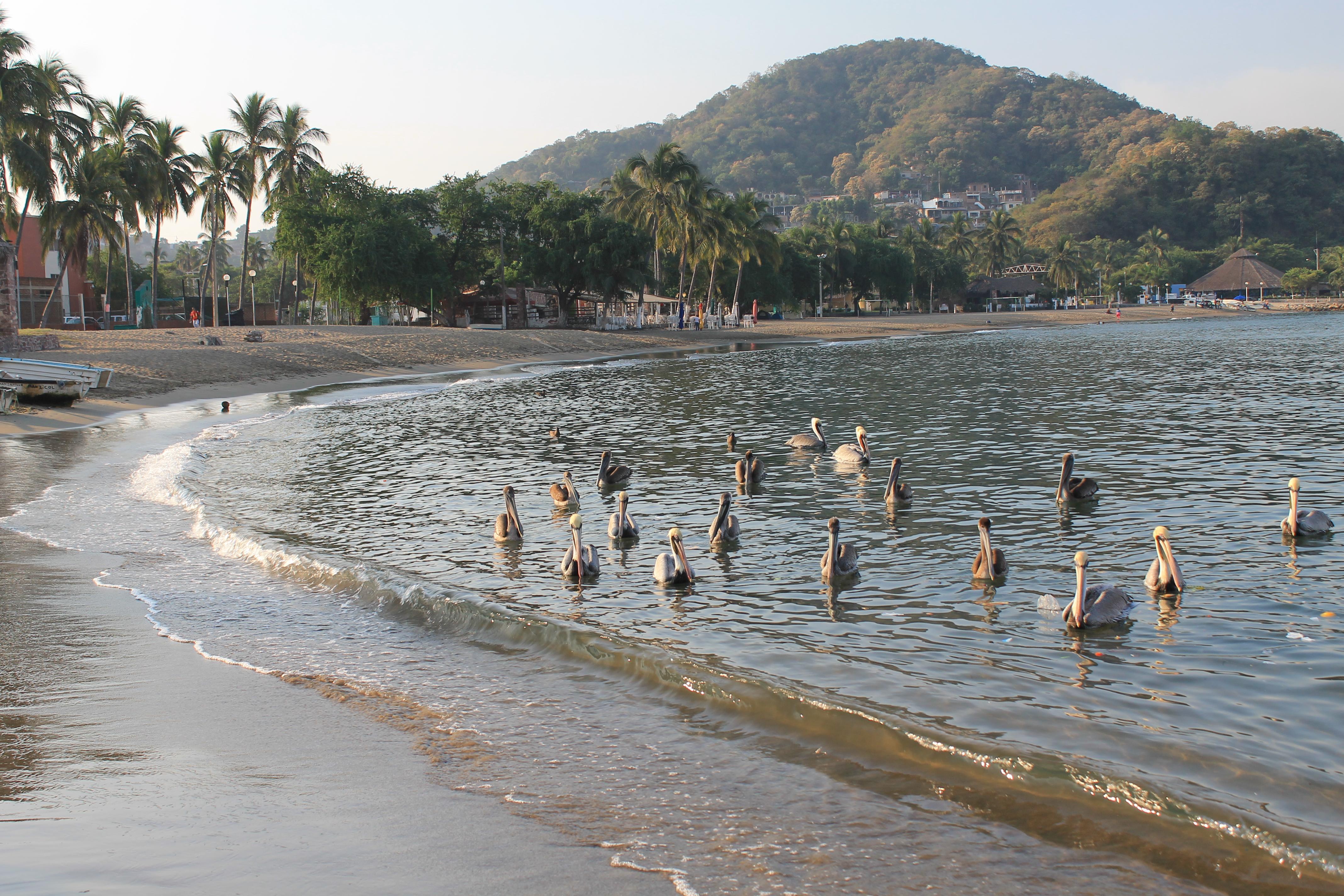 Playa San Pedrito, por Antonio Vázquez