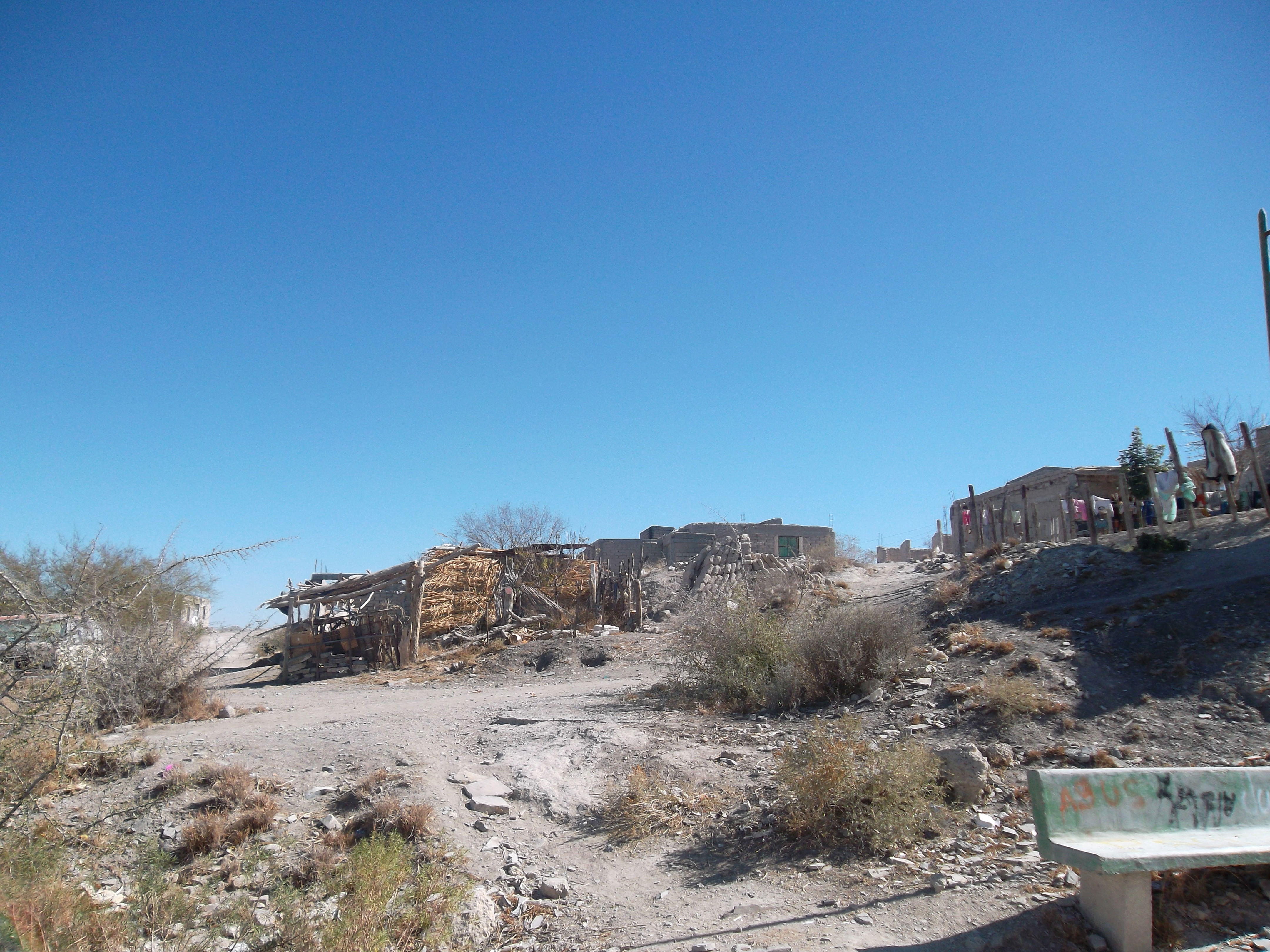 Desierto de Coahuila, por Daniela VILLARREAL