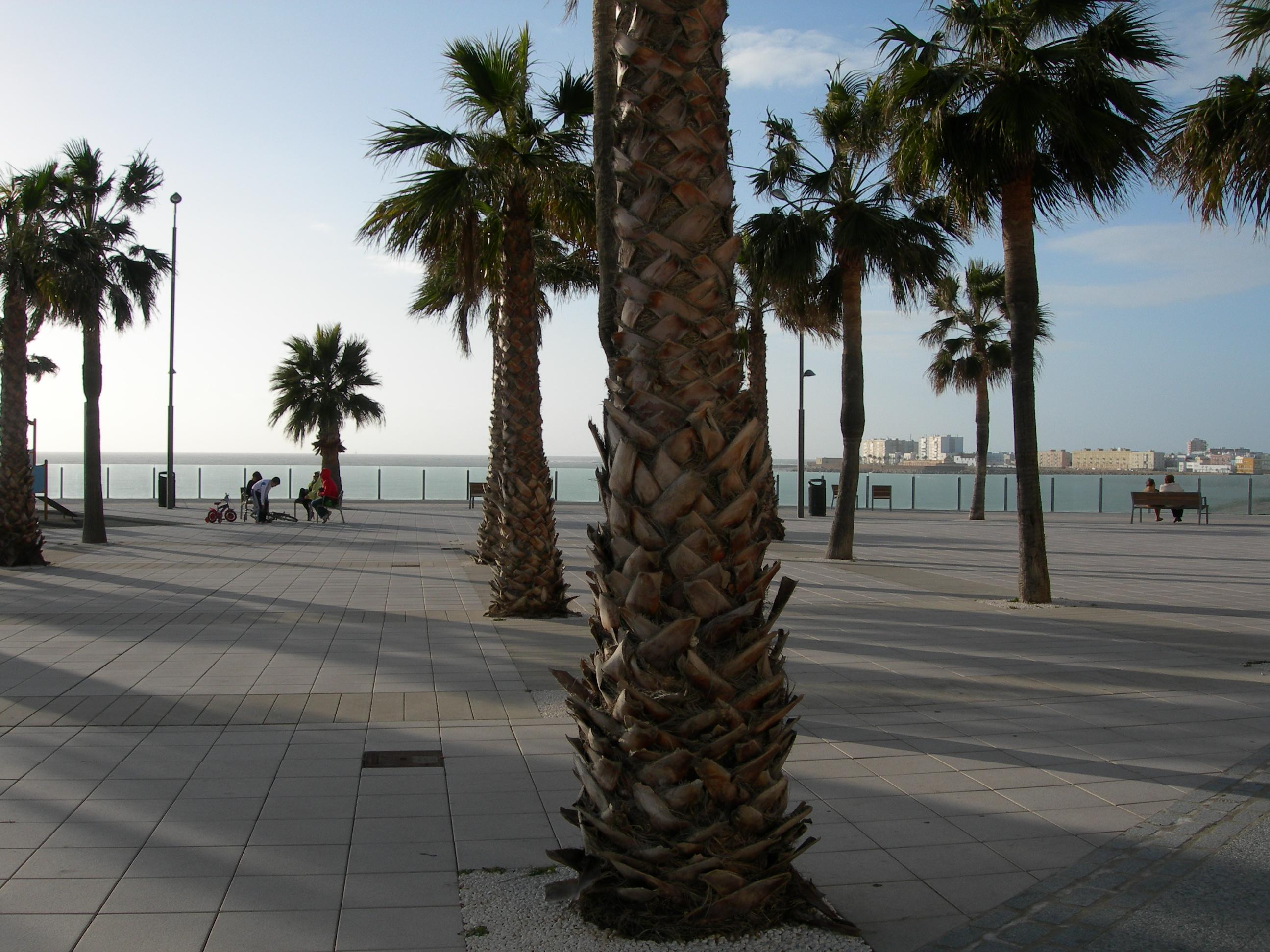 Plaza de Sta. María del Mar, por eXplorador Escocés
