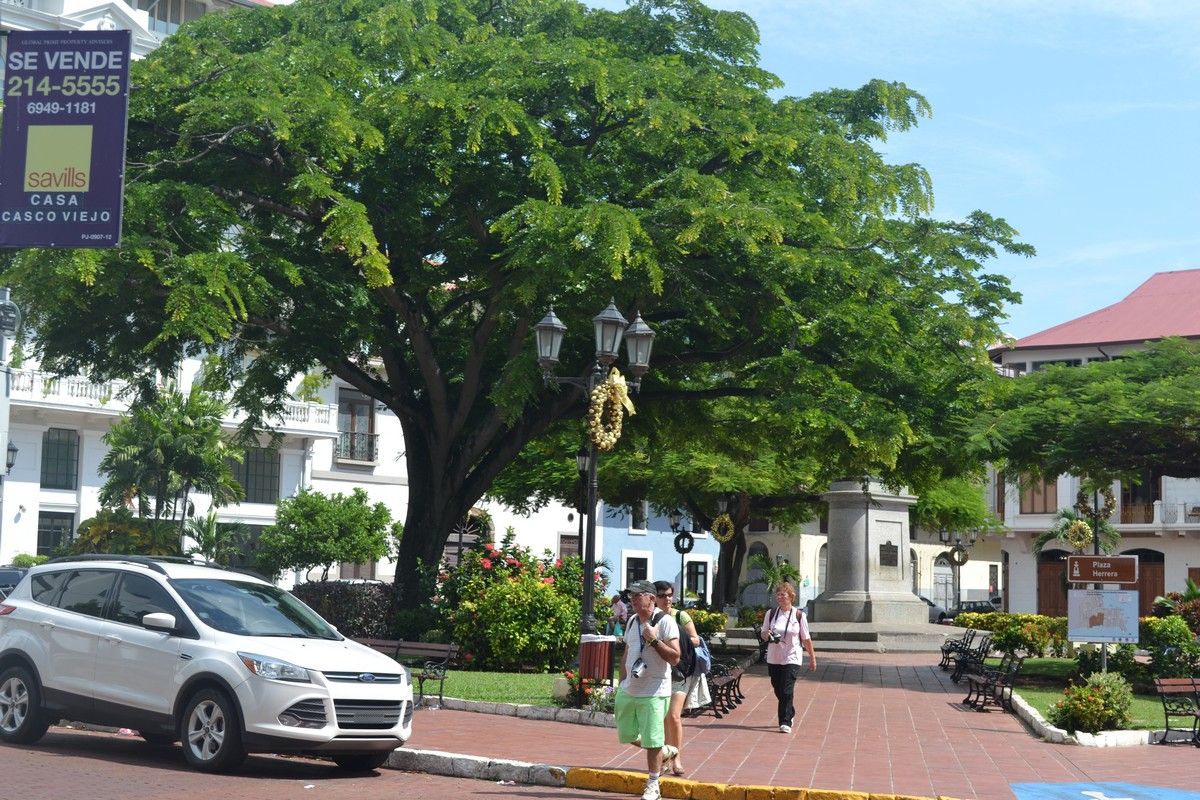 Plaza Herrera, por Dagoberto Bastardo