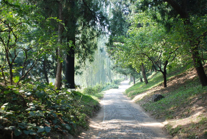 Jardines del Palacio de Verano, por Reconquista