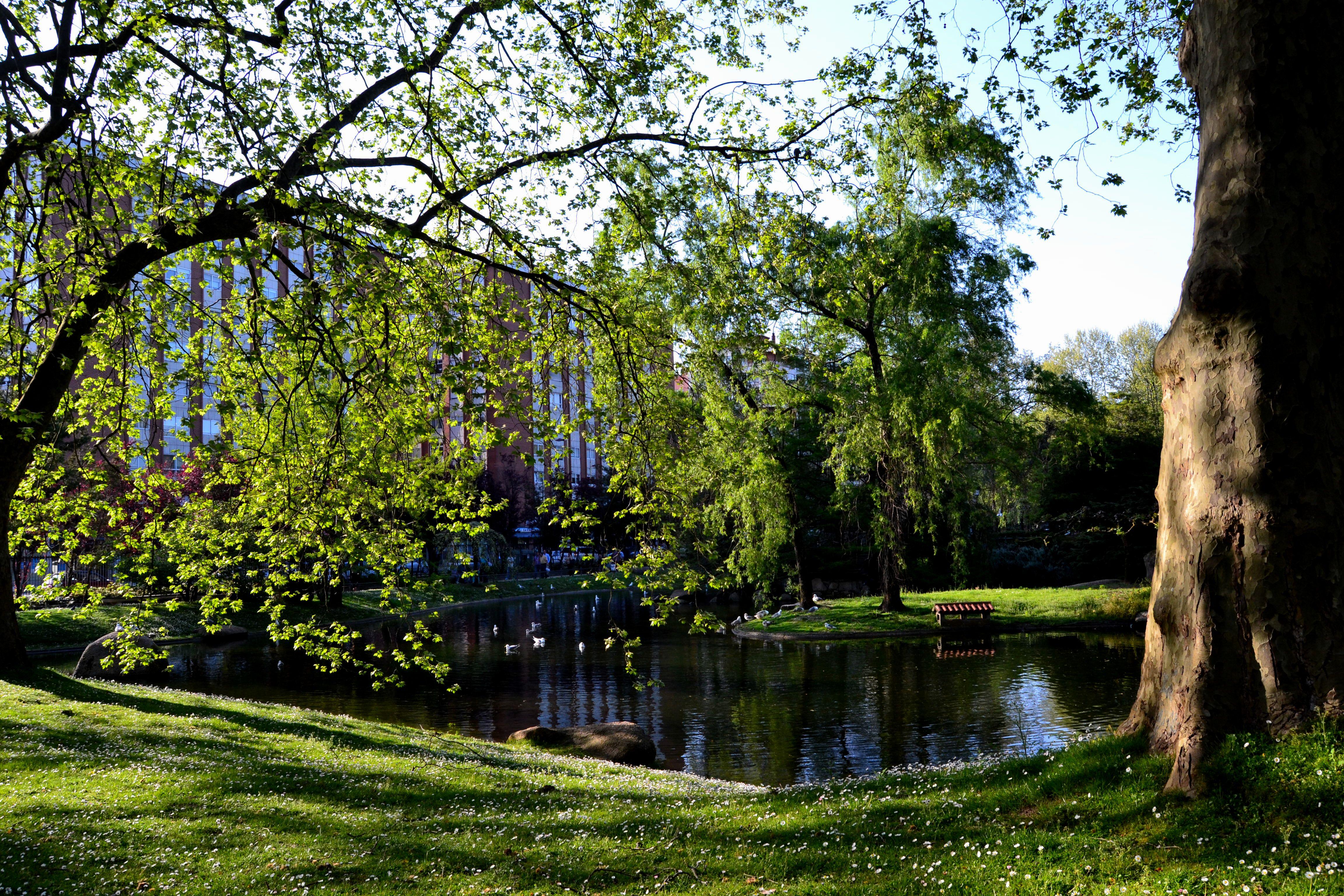 Jardines en Vigo: un recorrido por la naturaleza y el encanto urbano