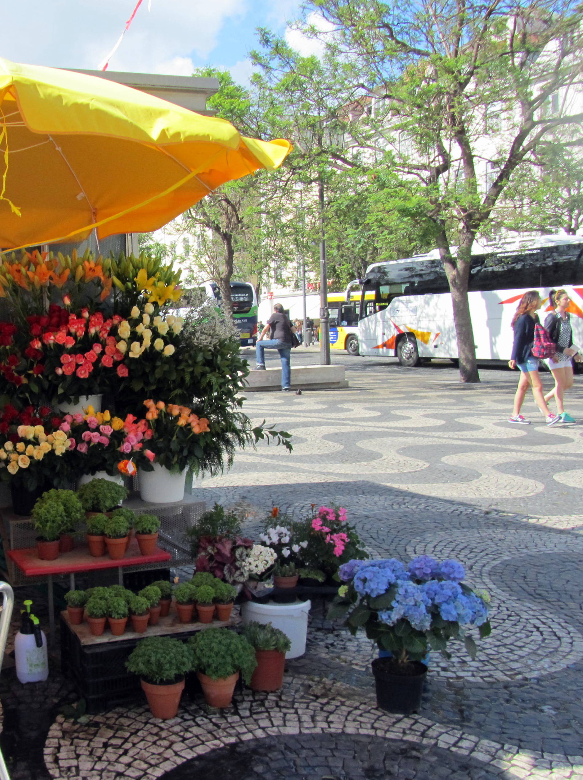 Mercadillo de Flores en la Plaza de Comercio, por Marta Pilar