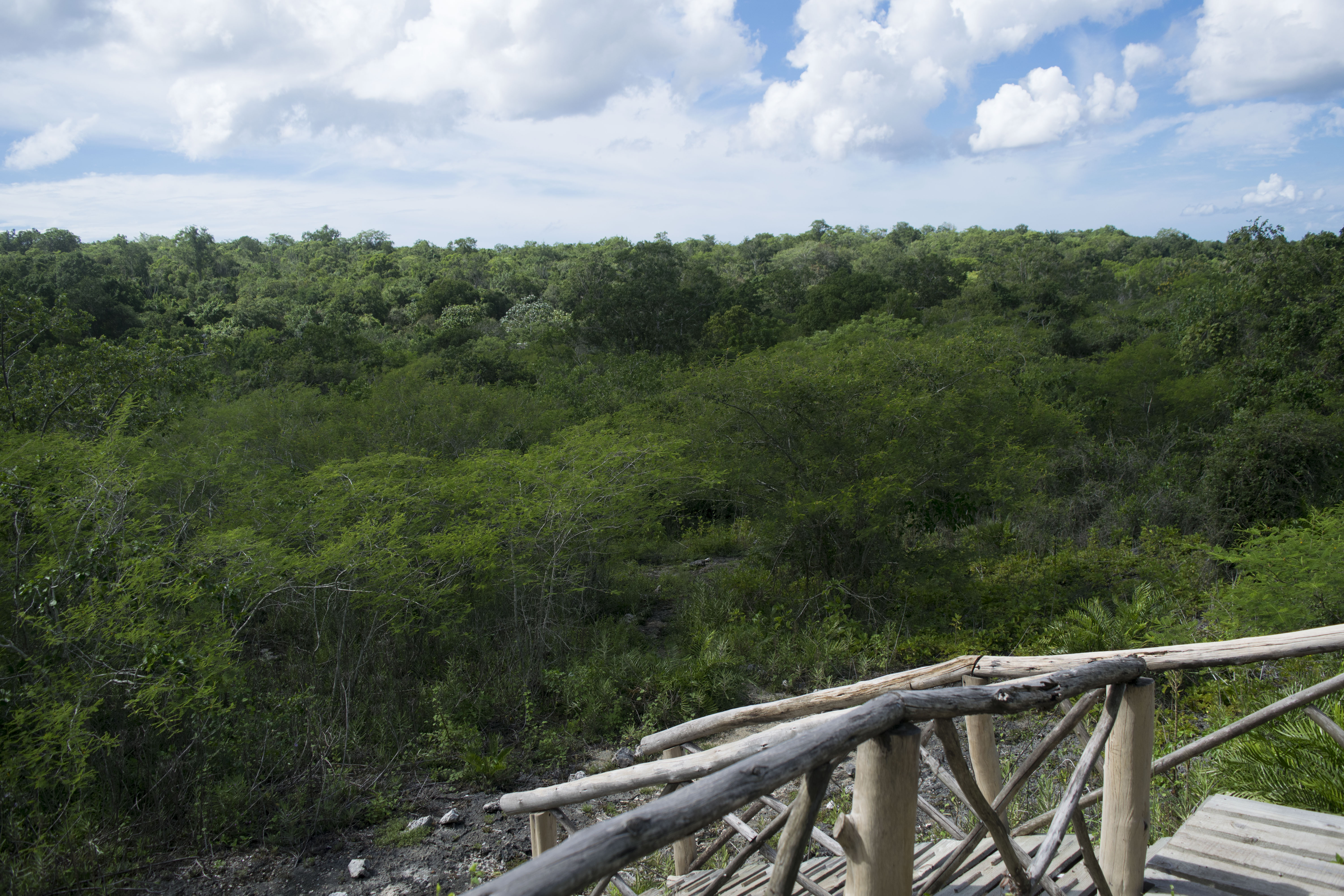 Aire libre en Bayahibe: explorando la naturaleza y su esplendor