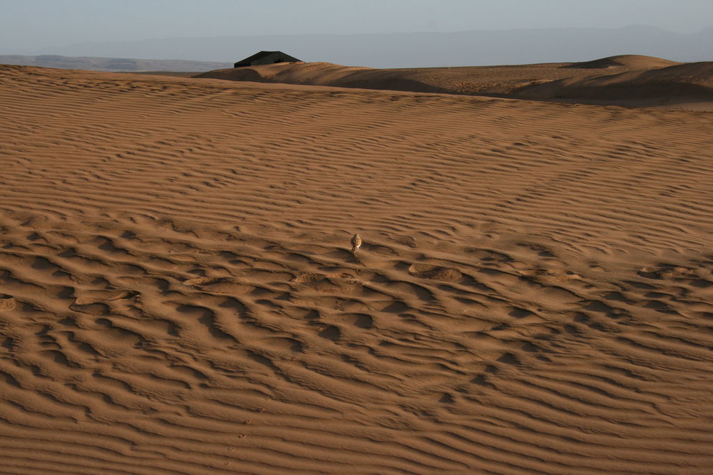 Excursión al desierto, por ...
