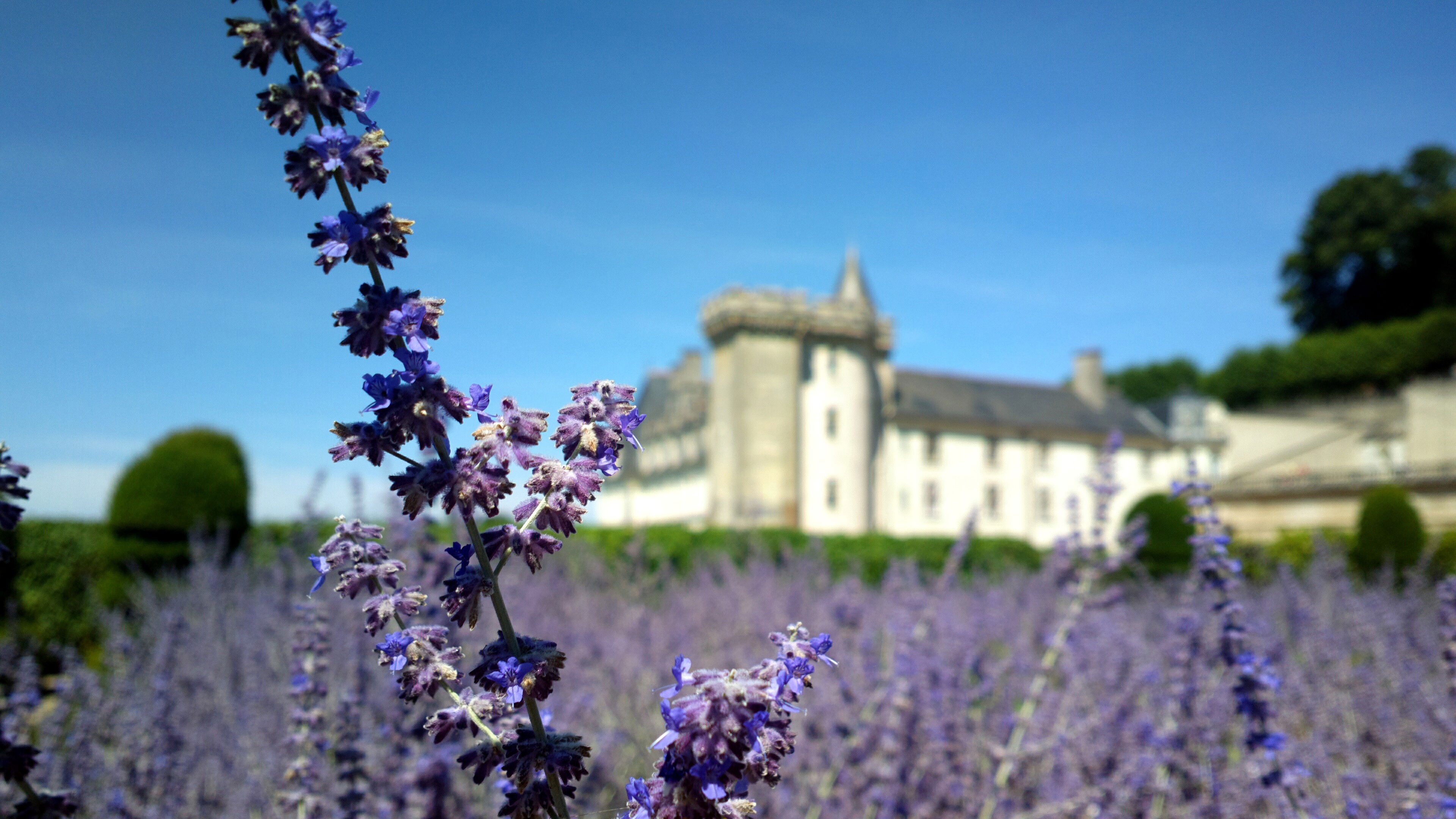 Castillo Villandry, por joooo96
