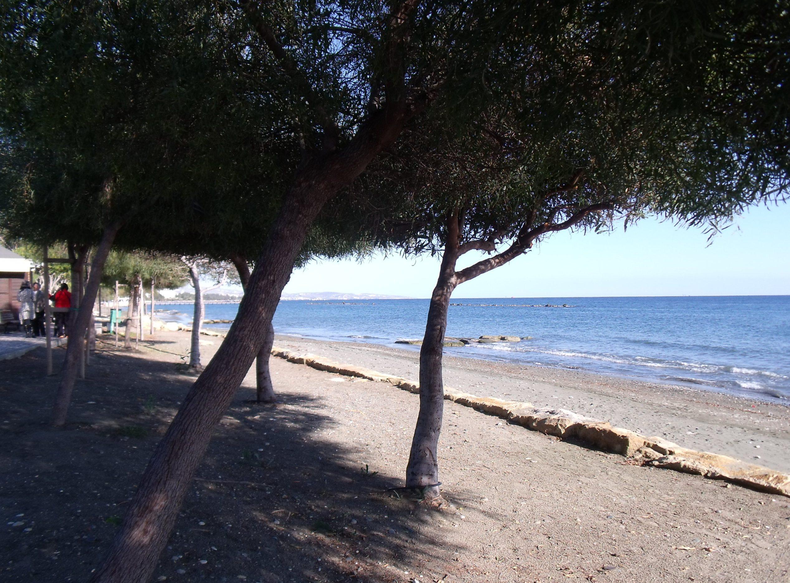 Playa del Parque Municipal, por sala2500