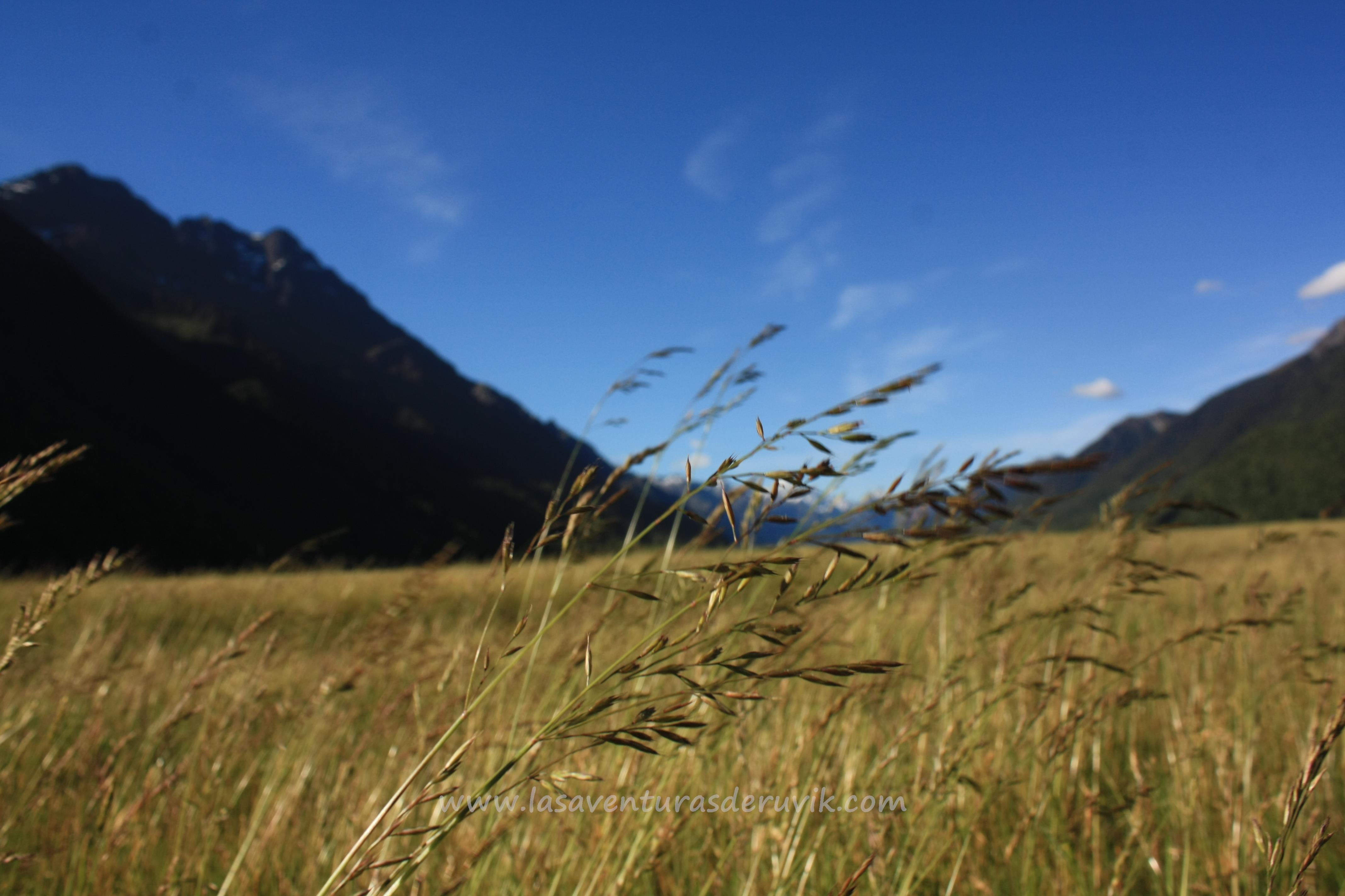 Eglinton Valley, por Las Aventuras de Ruvik