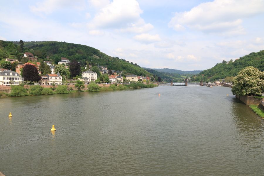 El Neckarwiese, por ANADEL