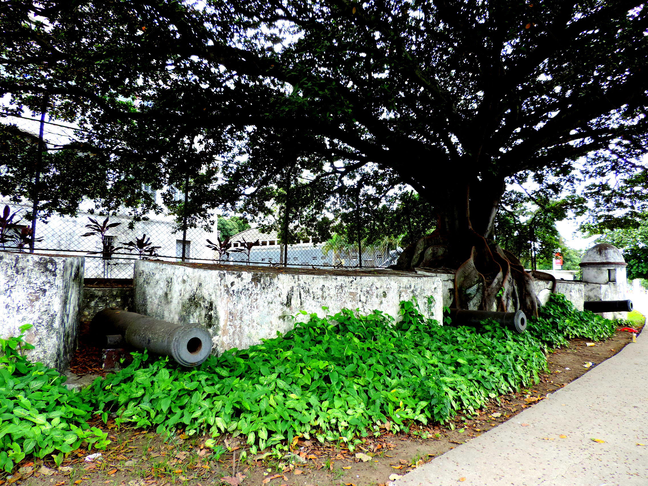 Fuerte de São João, por Janice Mary