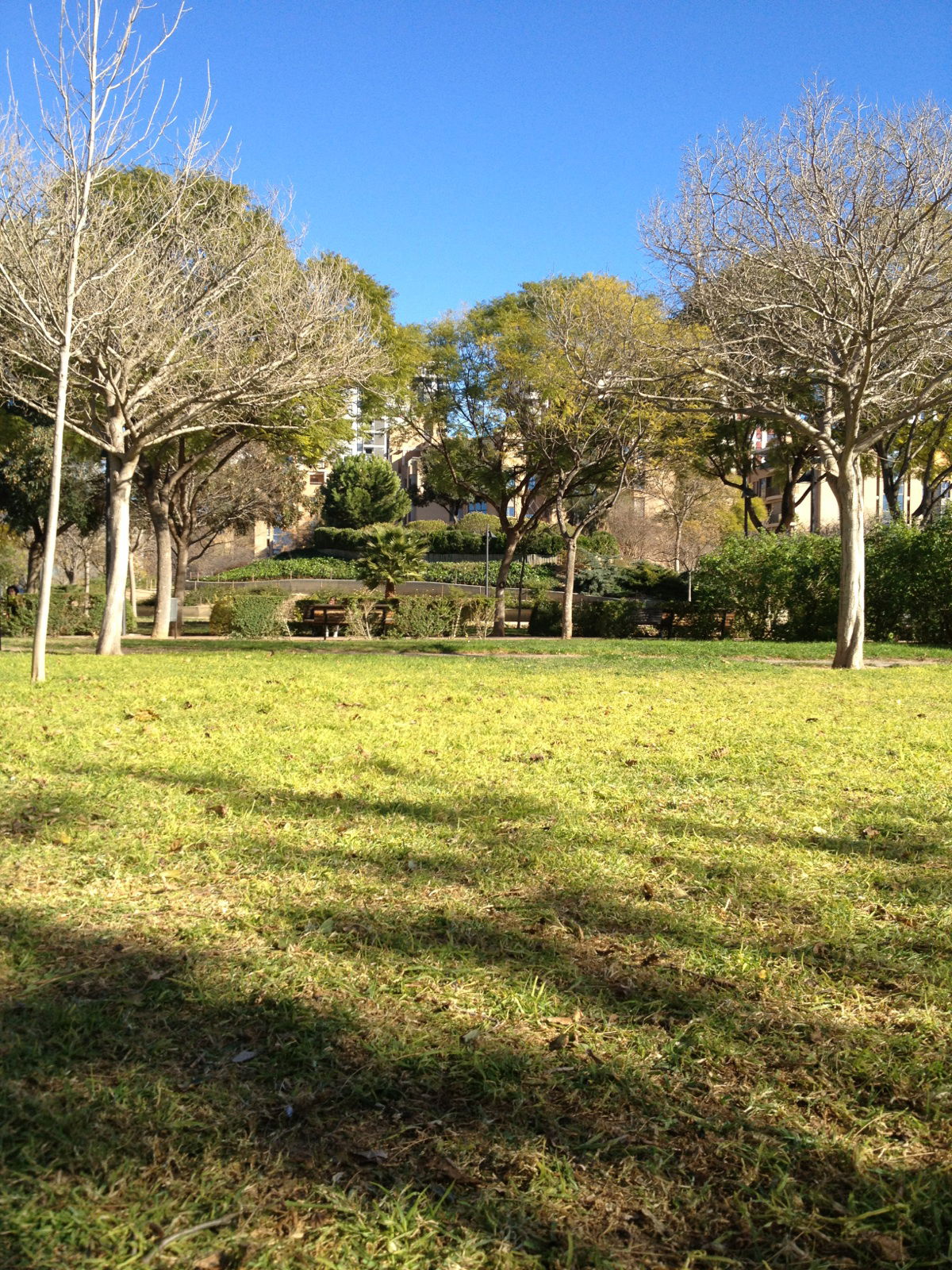 Jardín de Polifilo, por Jose Drac