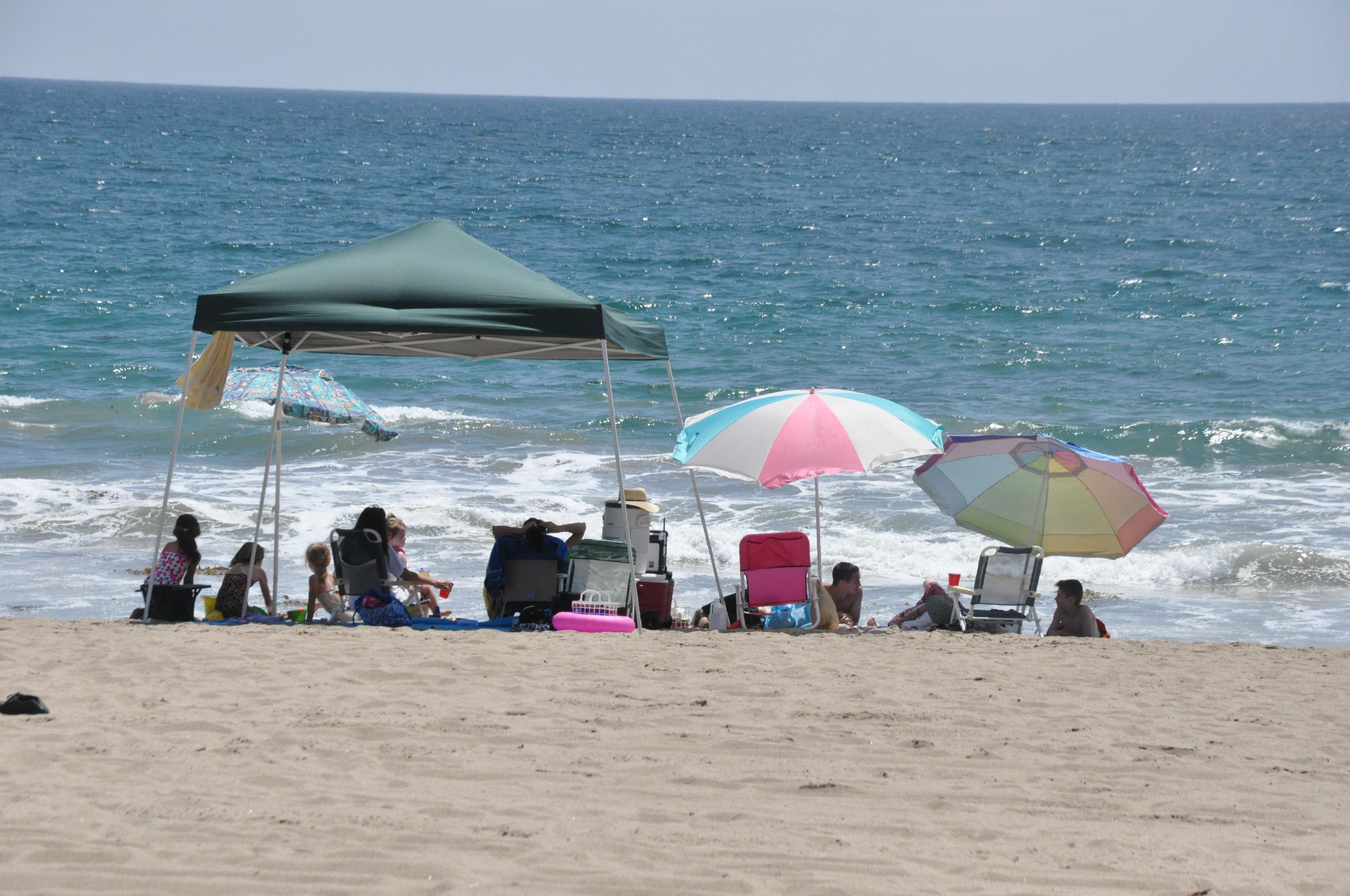 Malibu Playa, por Coraline D. Lafon