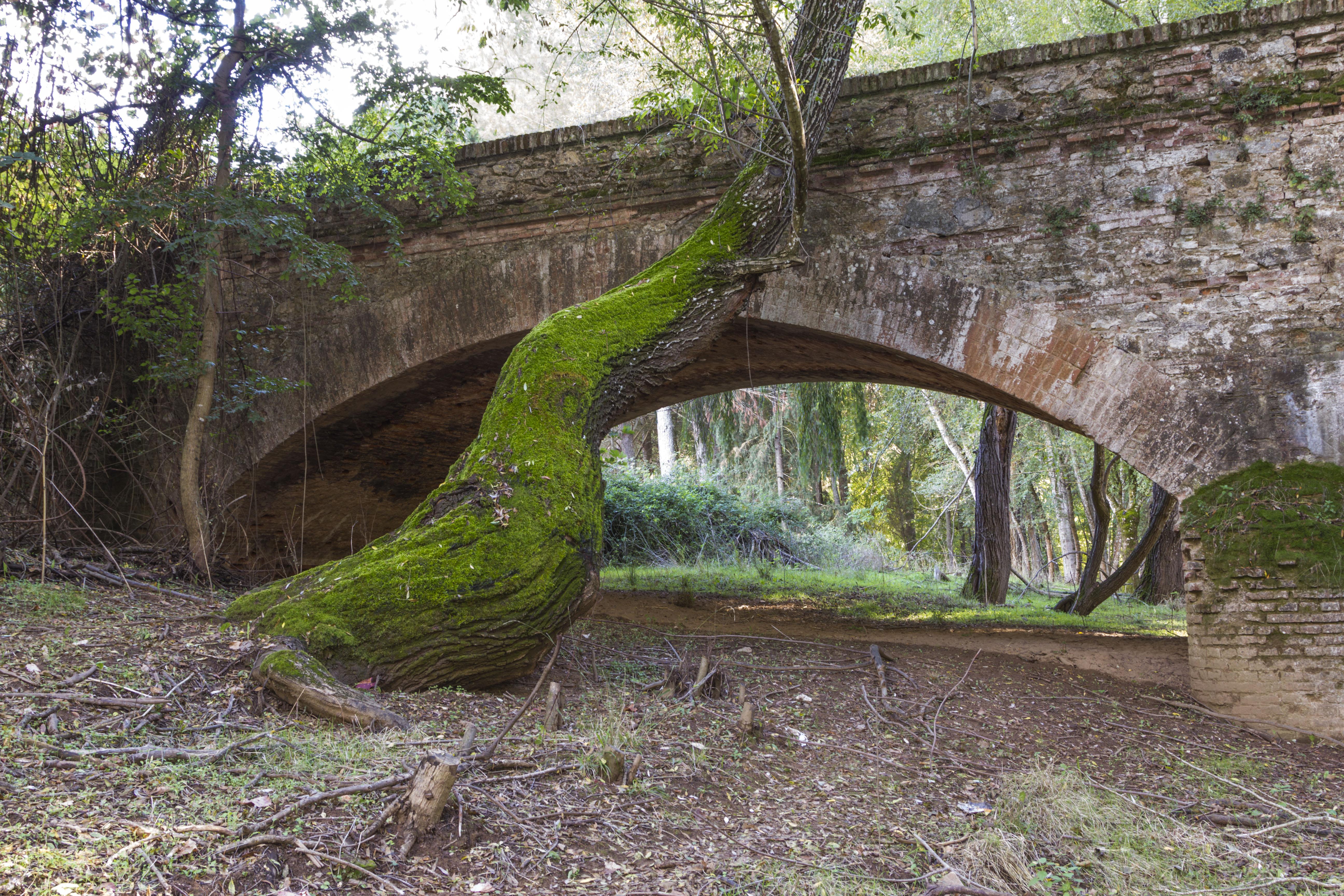 Turismo rural en Sevilla para contactar con la naturaleza