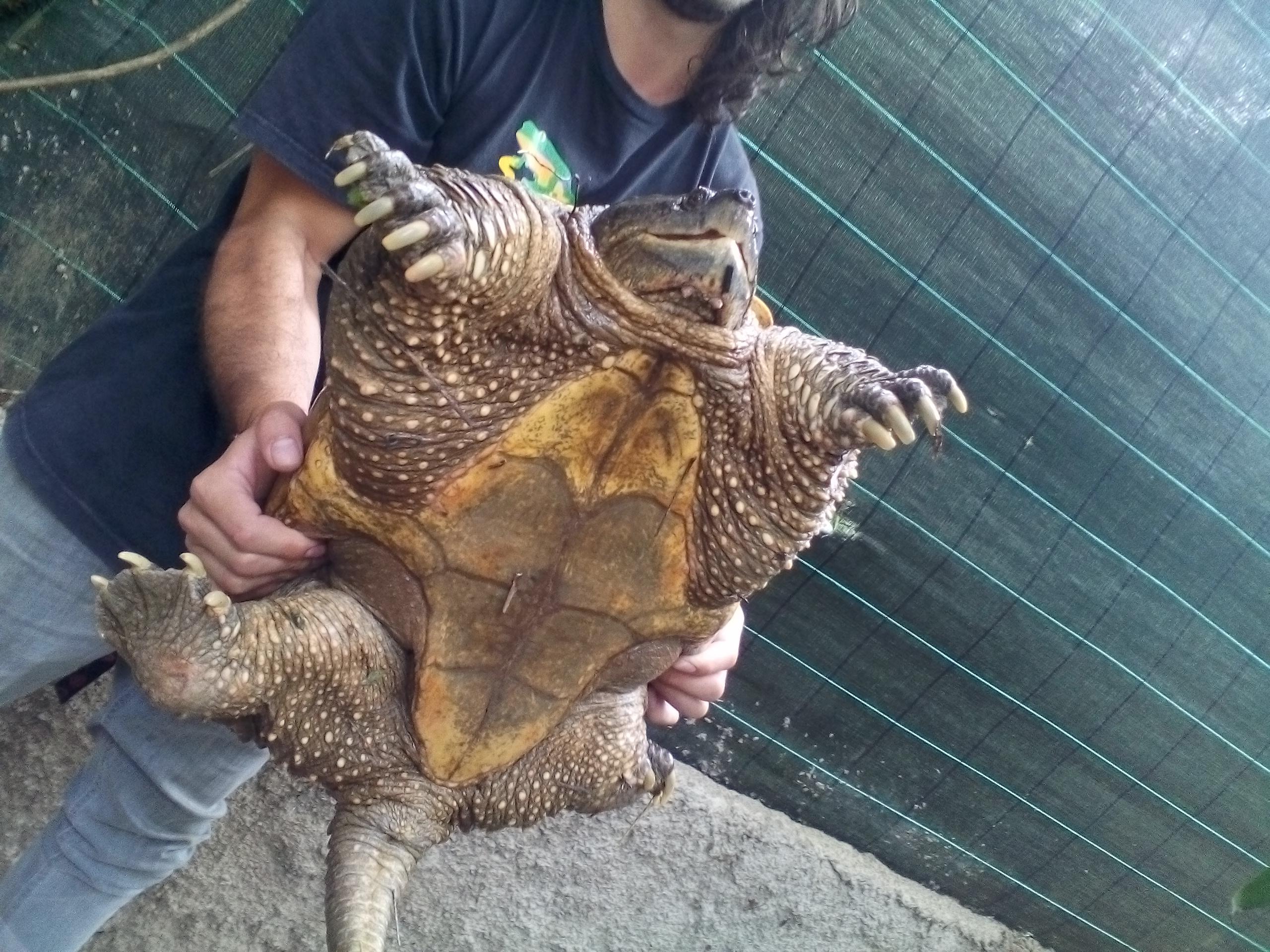 Refugio Herpetologico de Costa Rica, por Oscar Mendieta