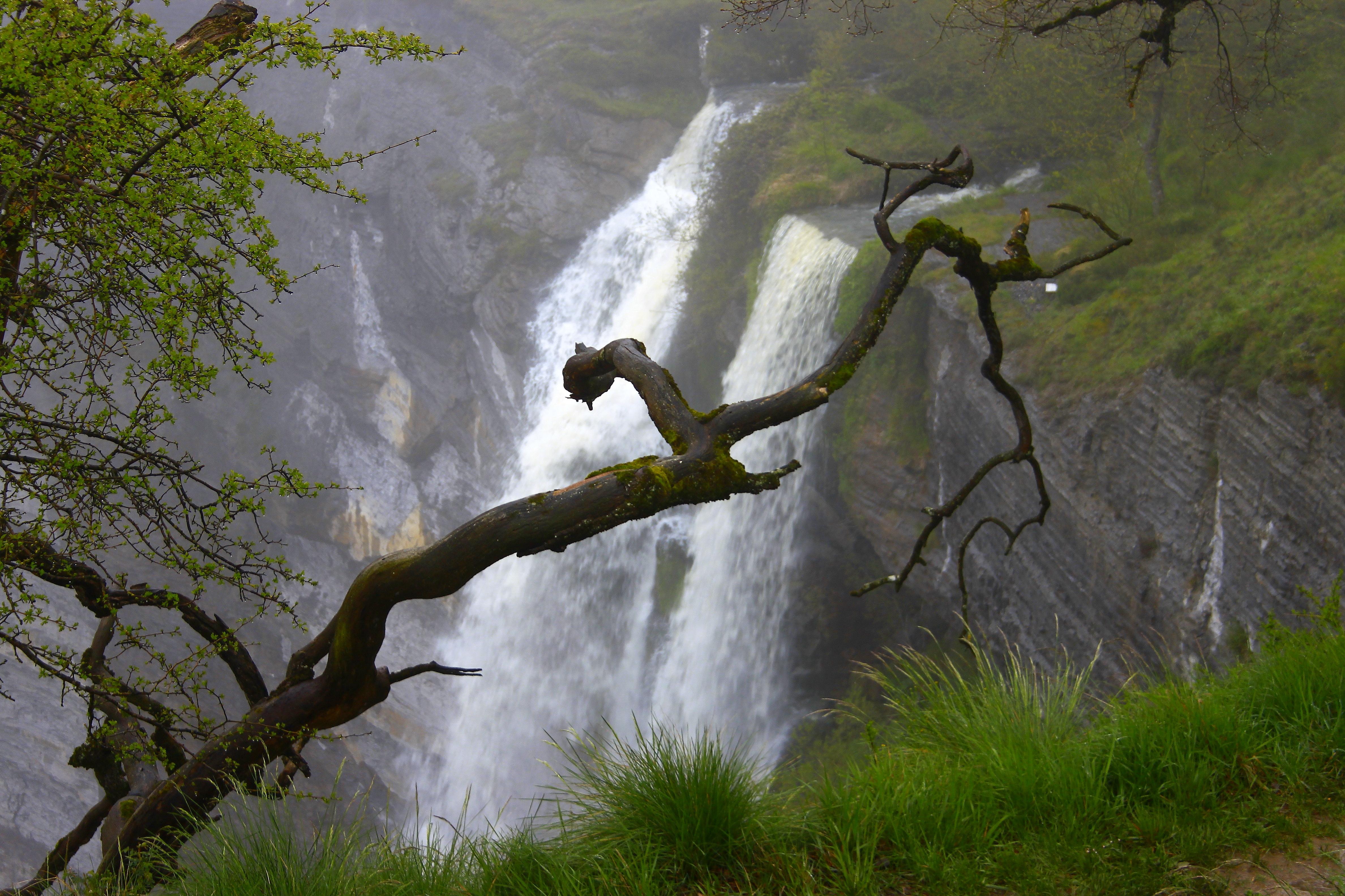 Cataratas en Vizcaya que impresionan y maravillan tus sentidos