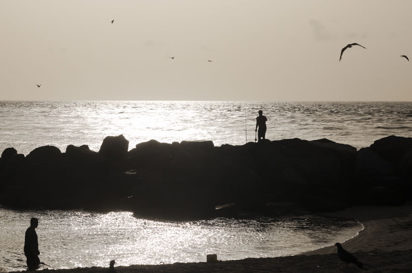 Malecón de Haulover Beach, por Mary U