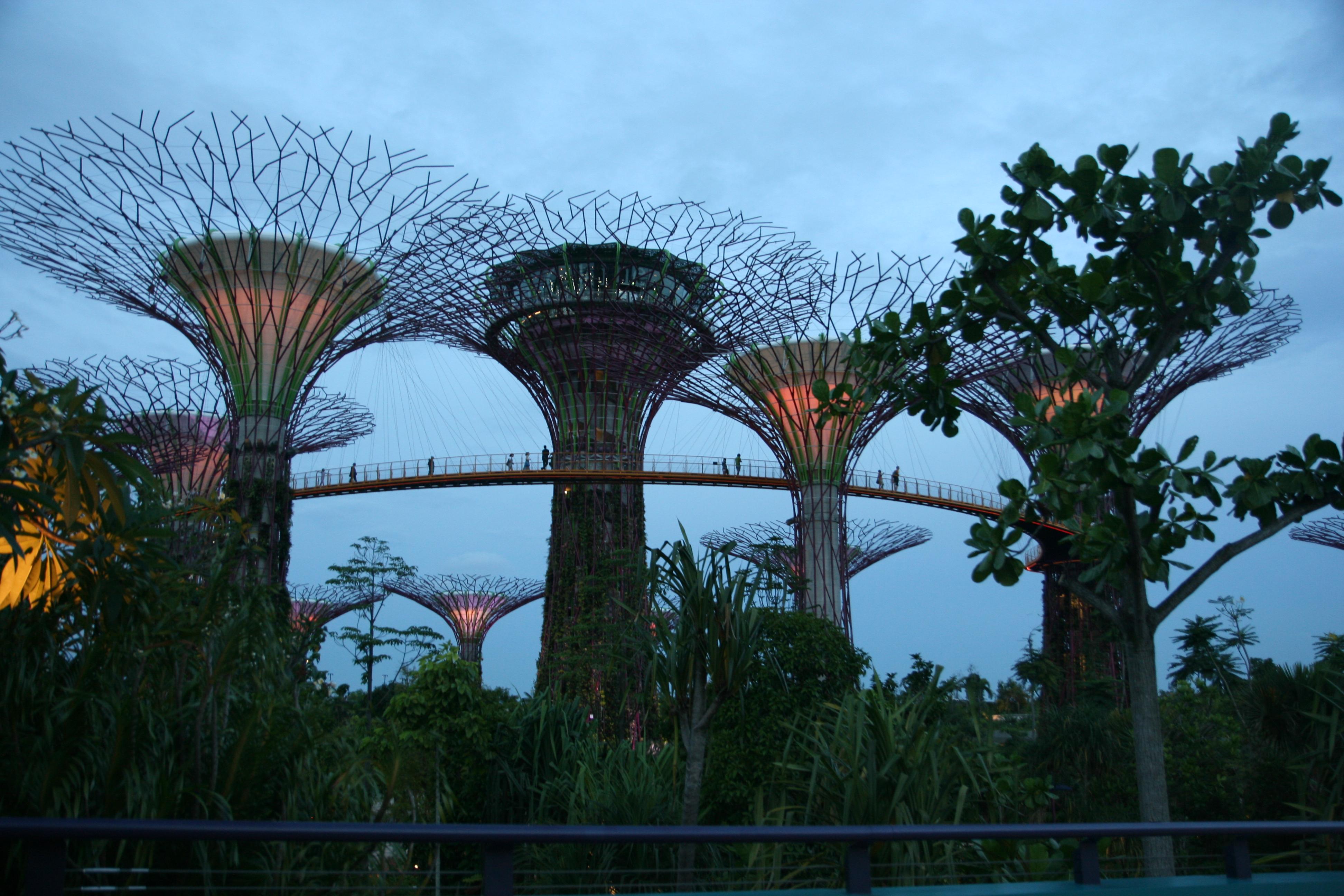 Gardens By The Bay, por Ricardo sanchez-Laulhe