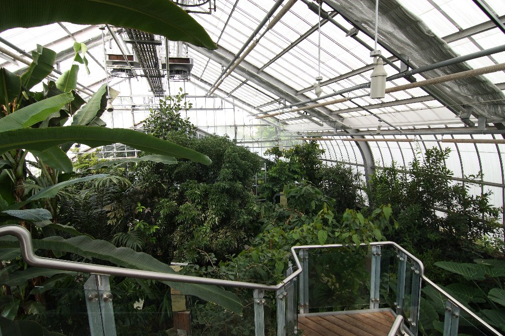 Invernaderos del Jardín botánico de montreal, por nuria