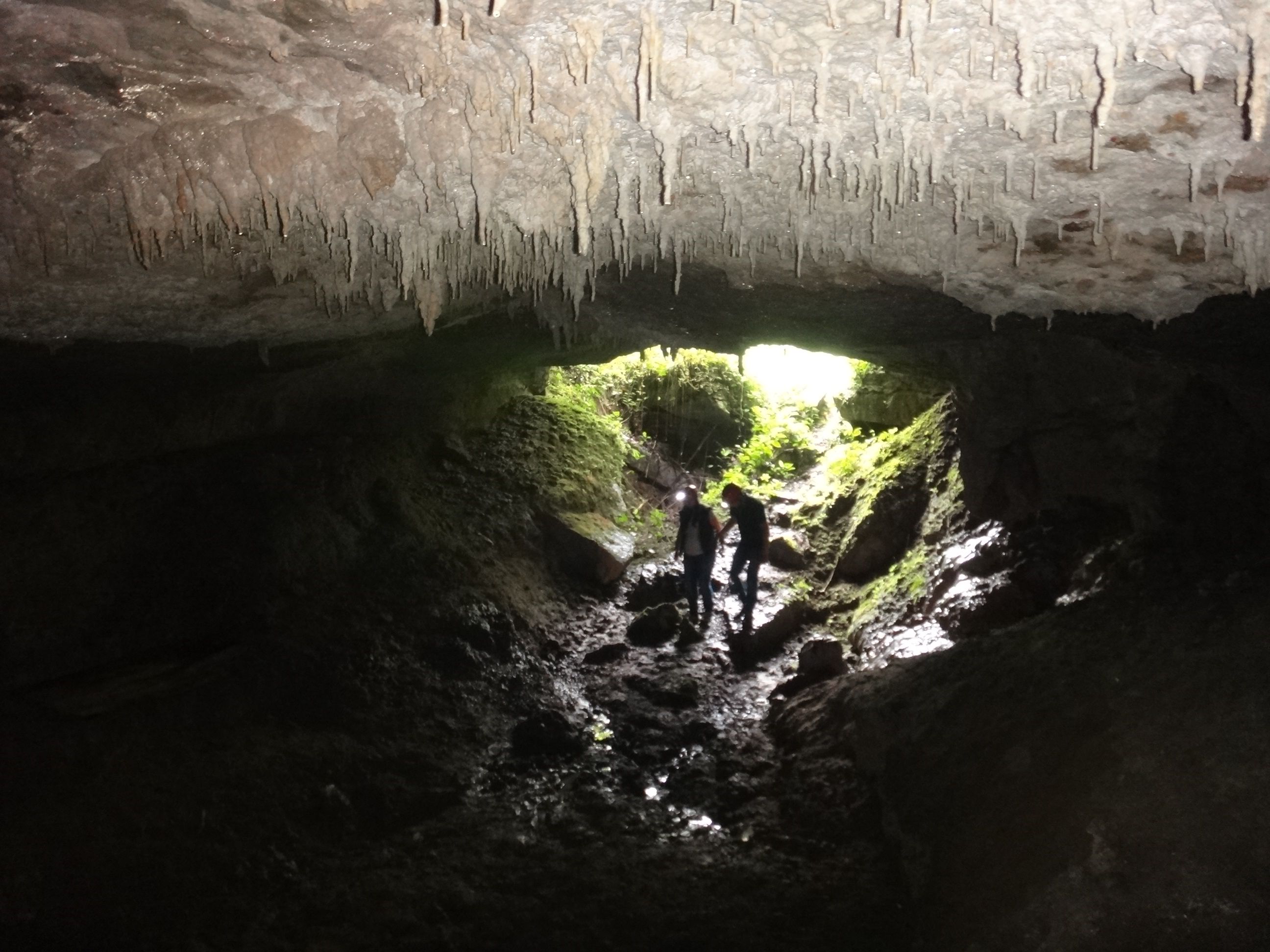 Cavernas Lagarto, por Juan Fernando Arévalo