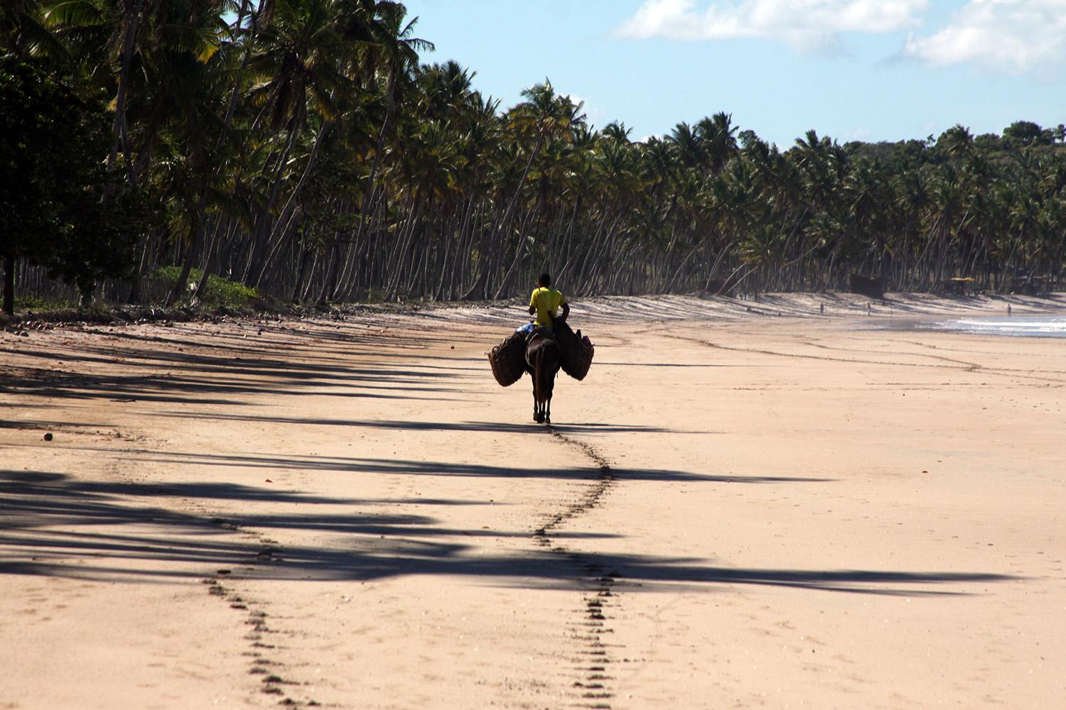 Praia de Tassimirim, por Tribi Lin