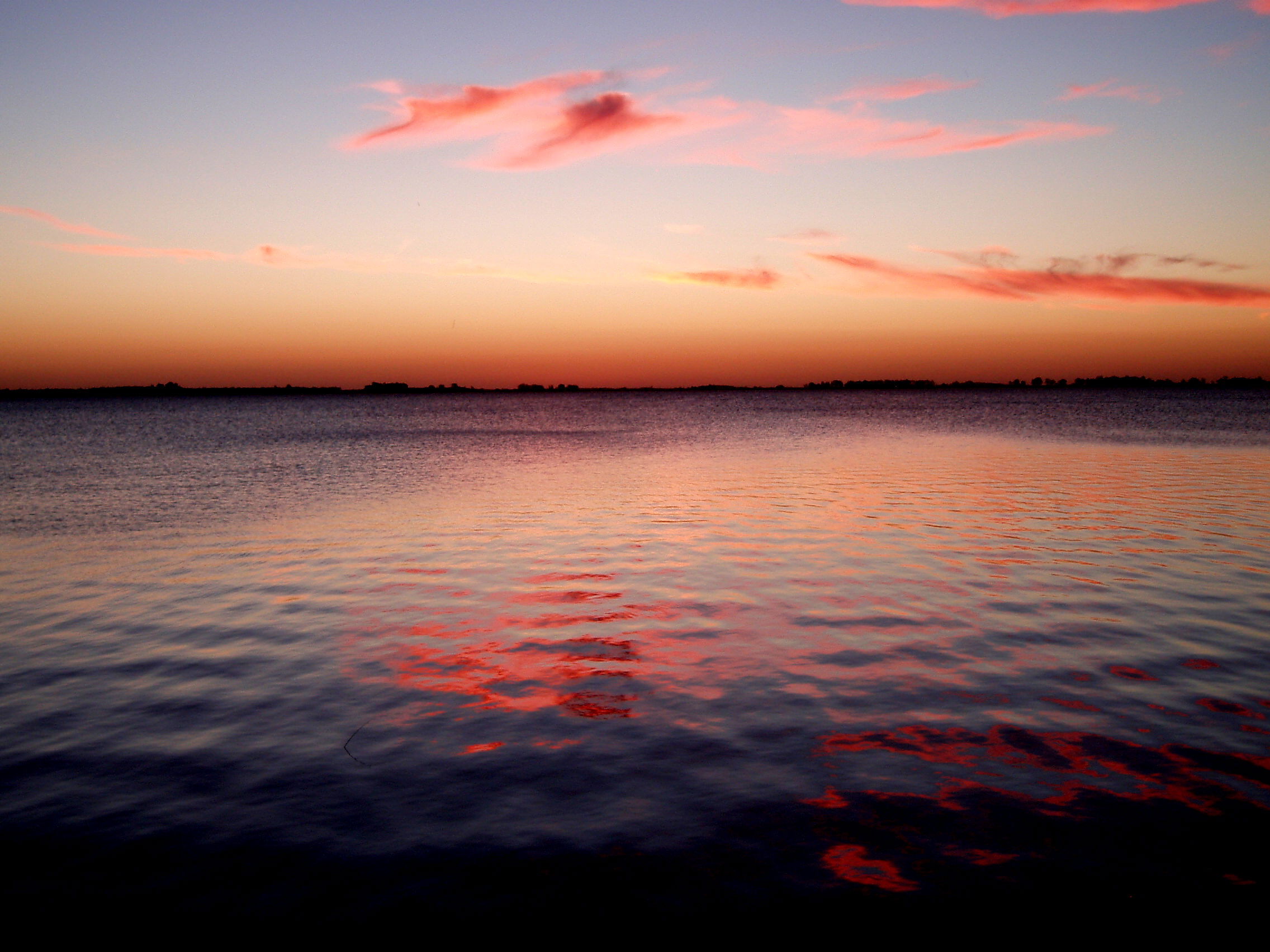 Laguna de Chascomús, por Victoria Maniago
