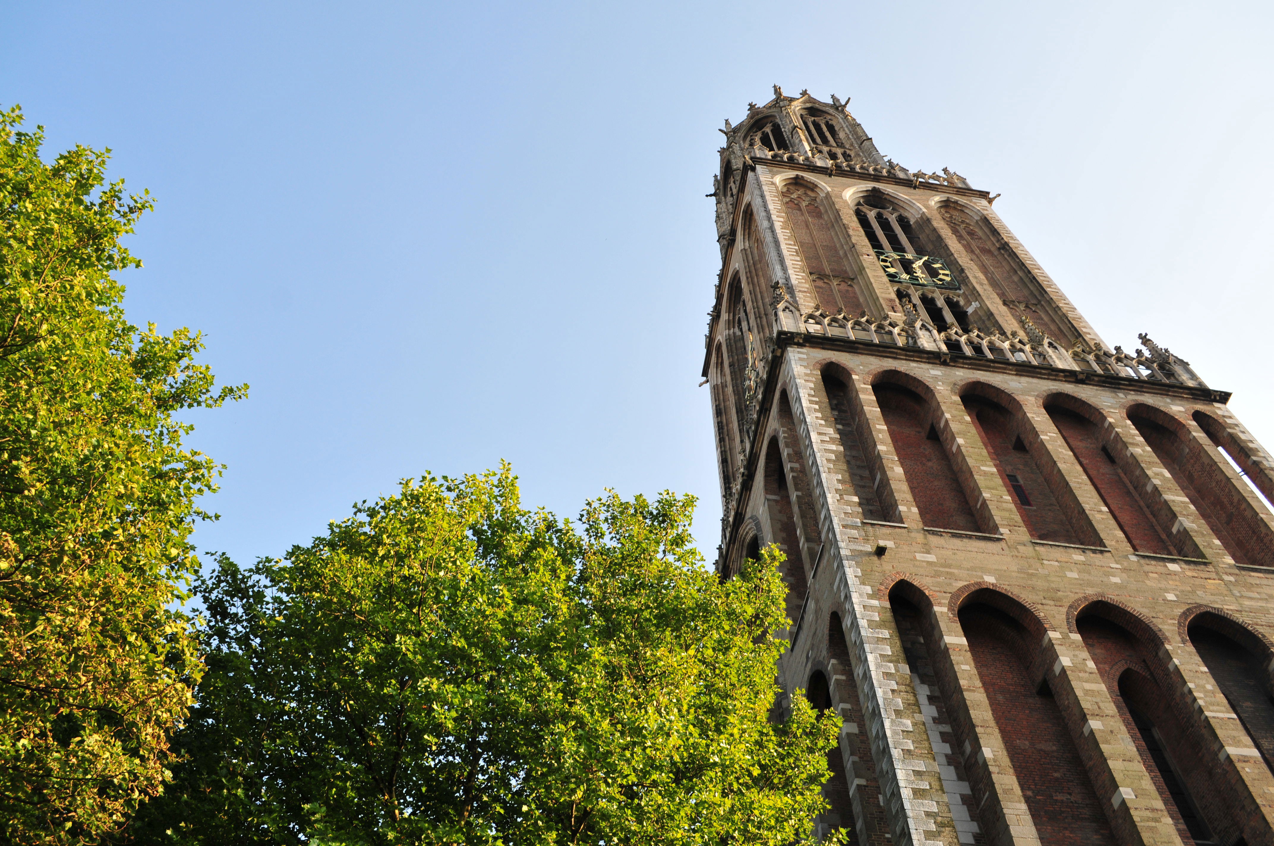 Torre Dom, por David Esteban