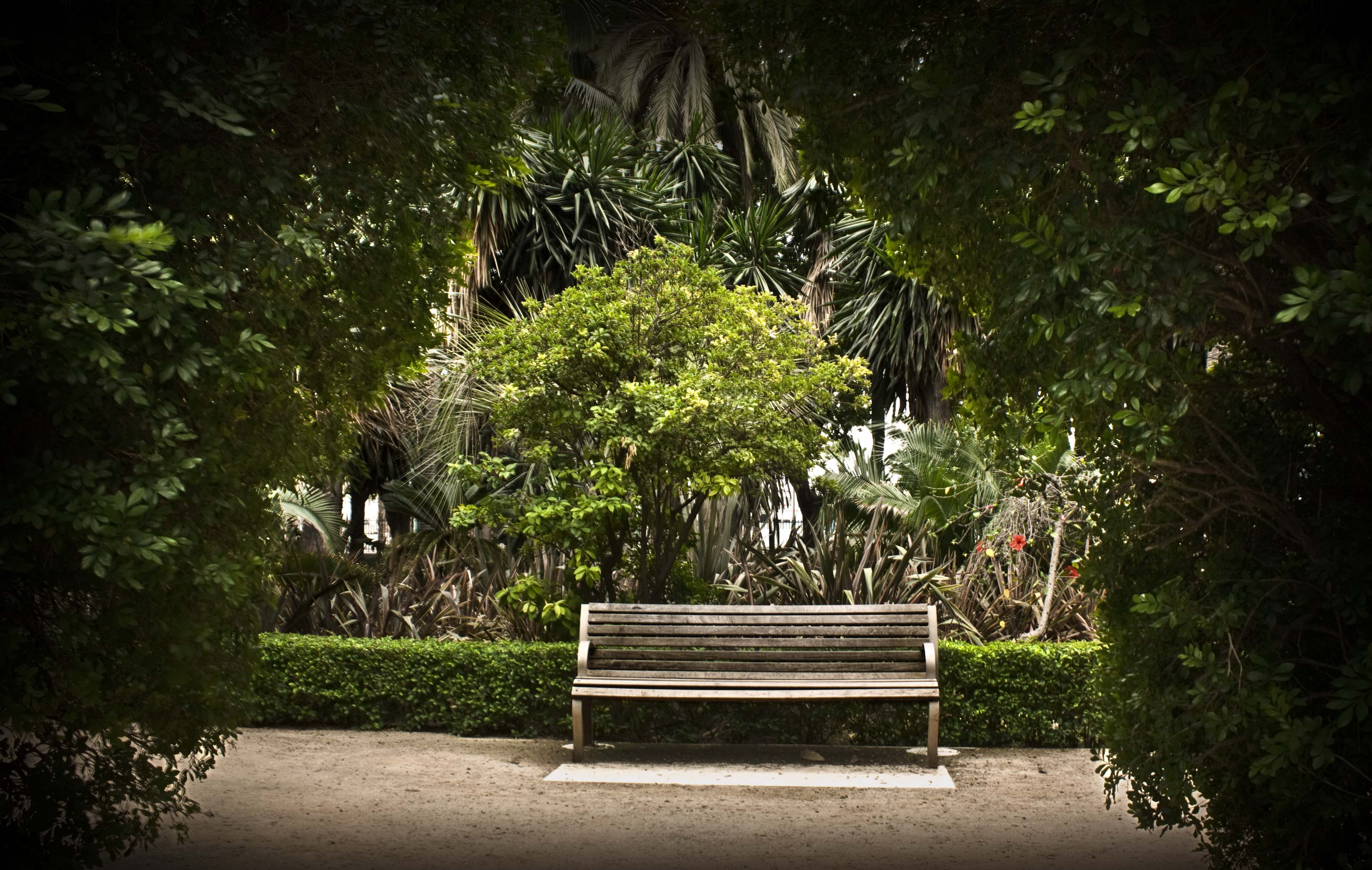 Parque de Málaga, por Macarena Molina De Manuel