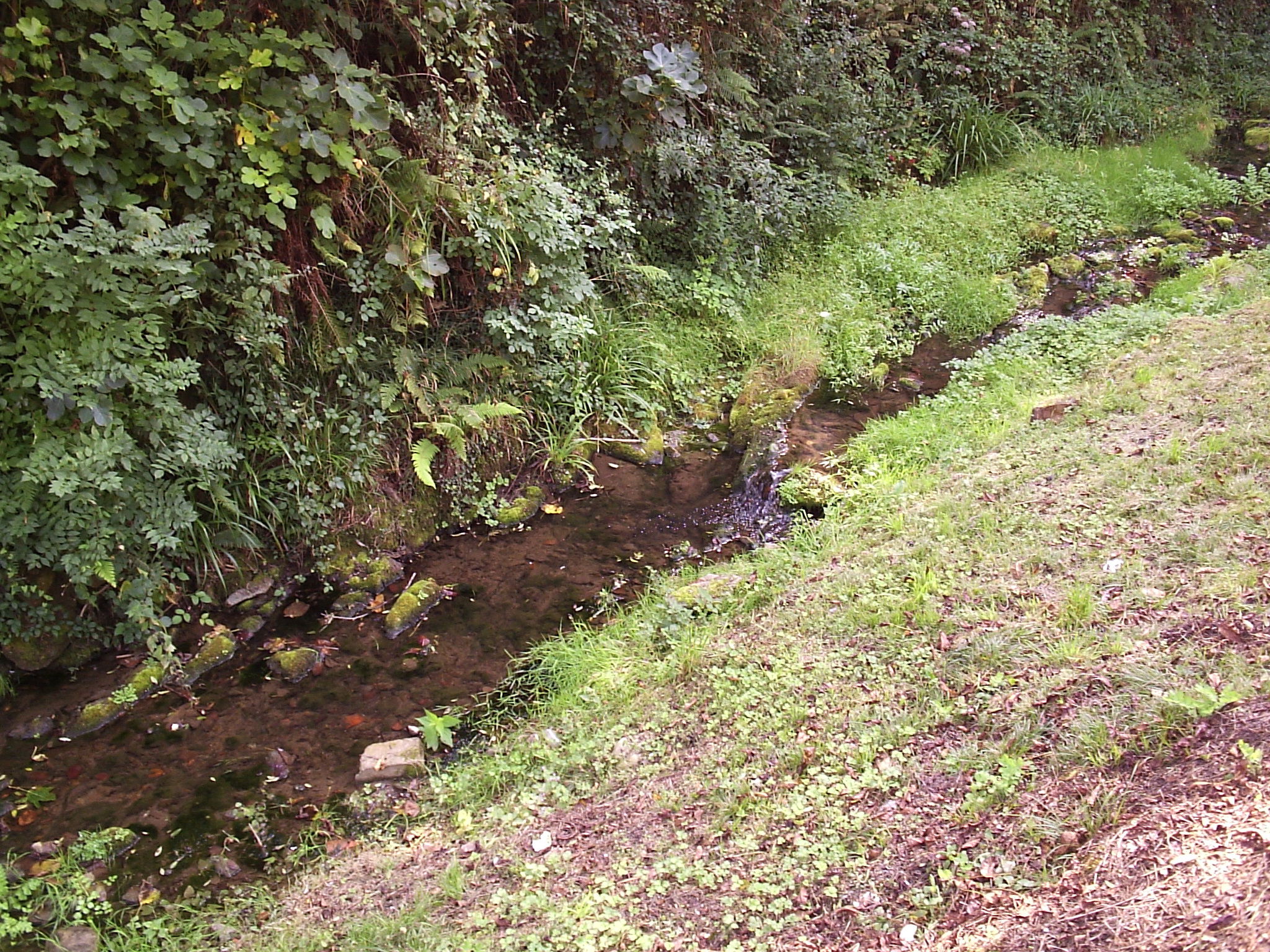 Mercáu Astur, por Saudade