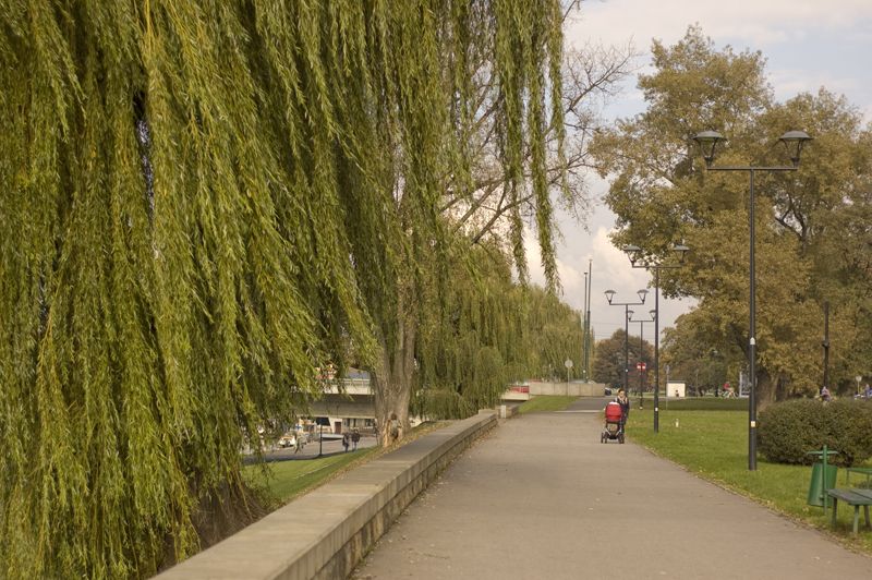 Parque Wisla, por Sebastian Muñoz