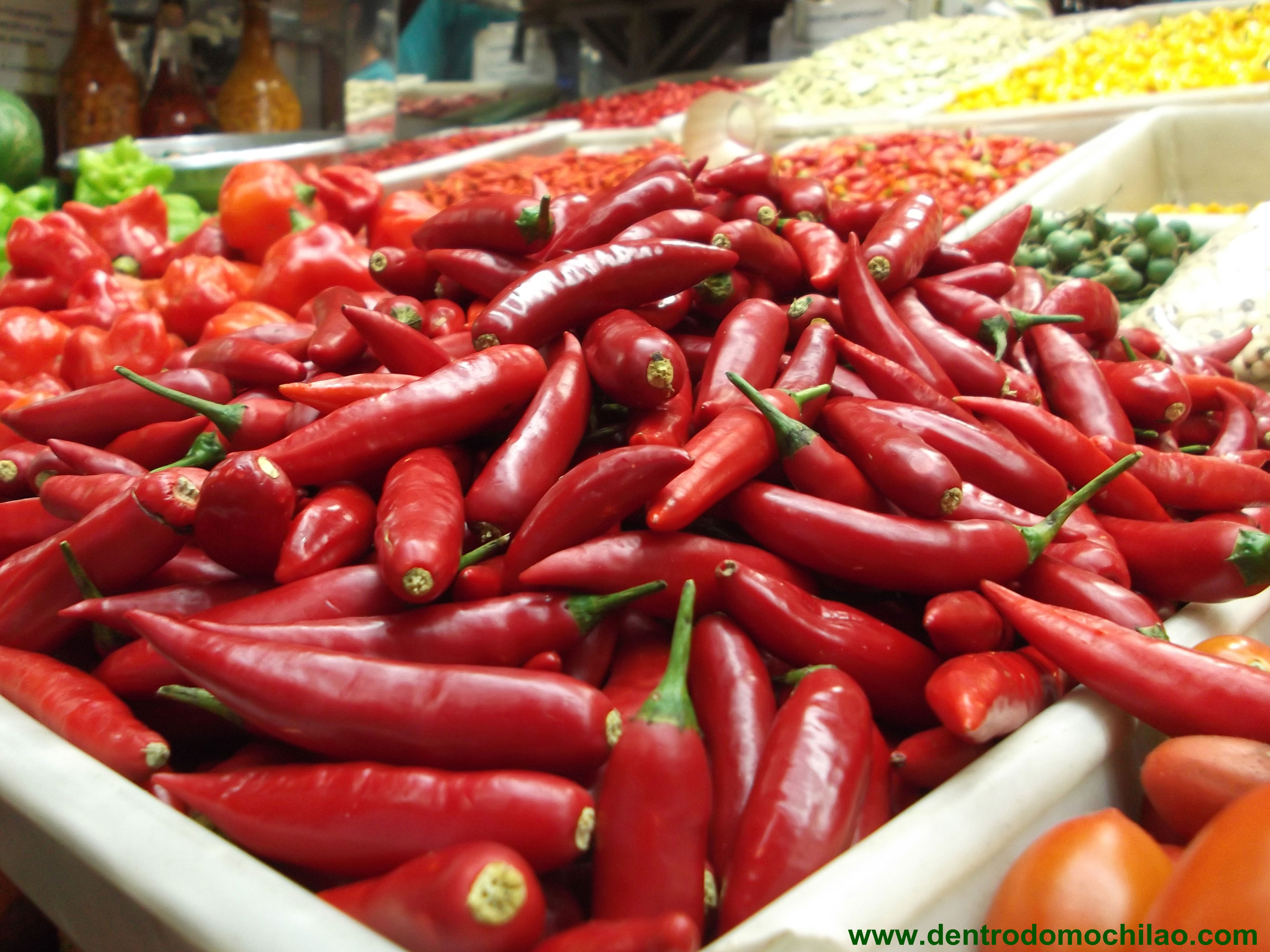 Mercado Central, por Cristiane Marques
