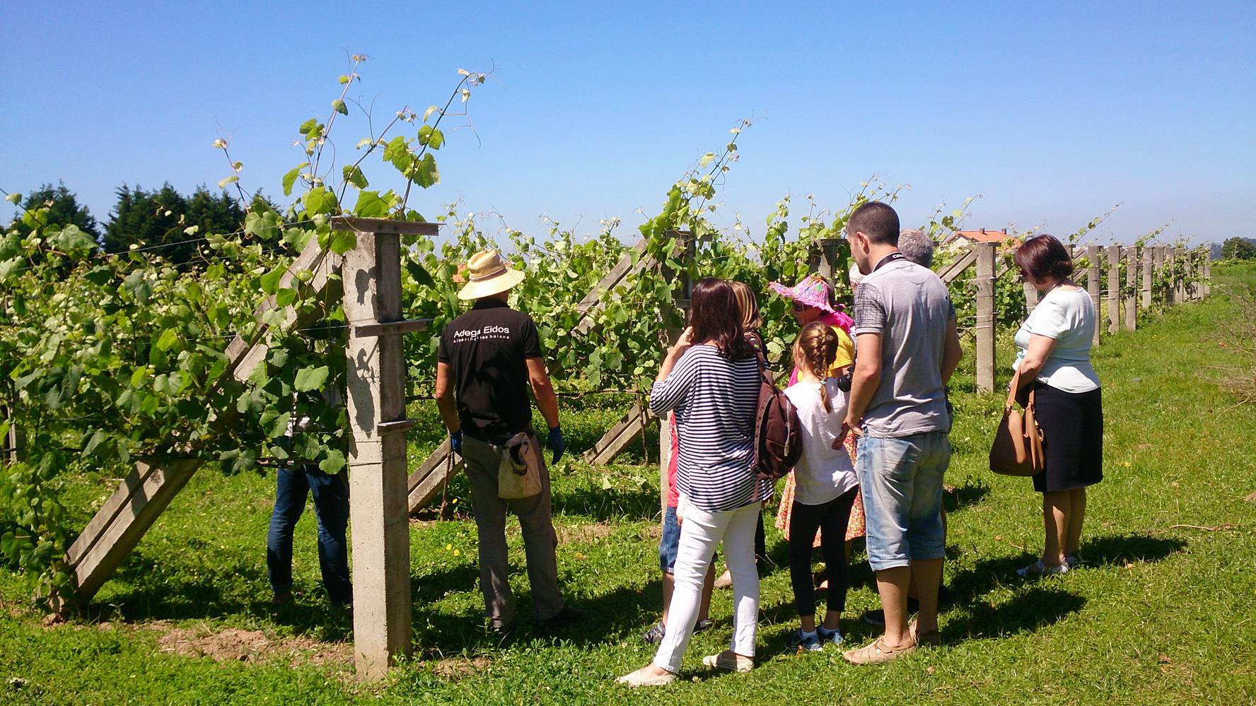 Bodega Adega Eidos, por Sandra Pérez